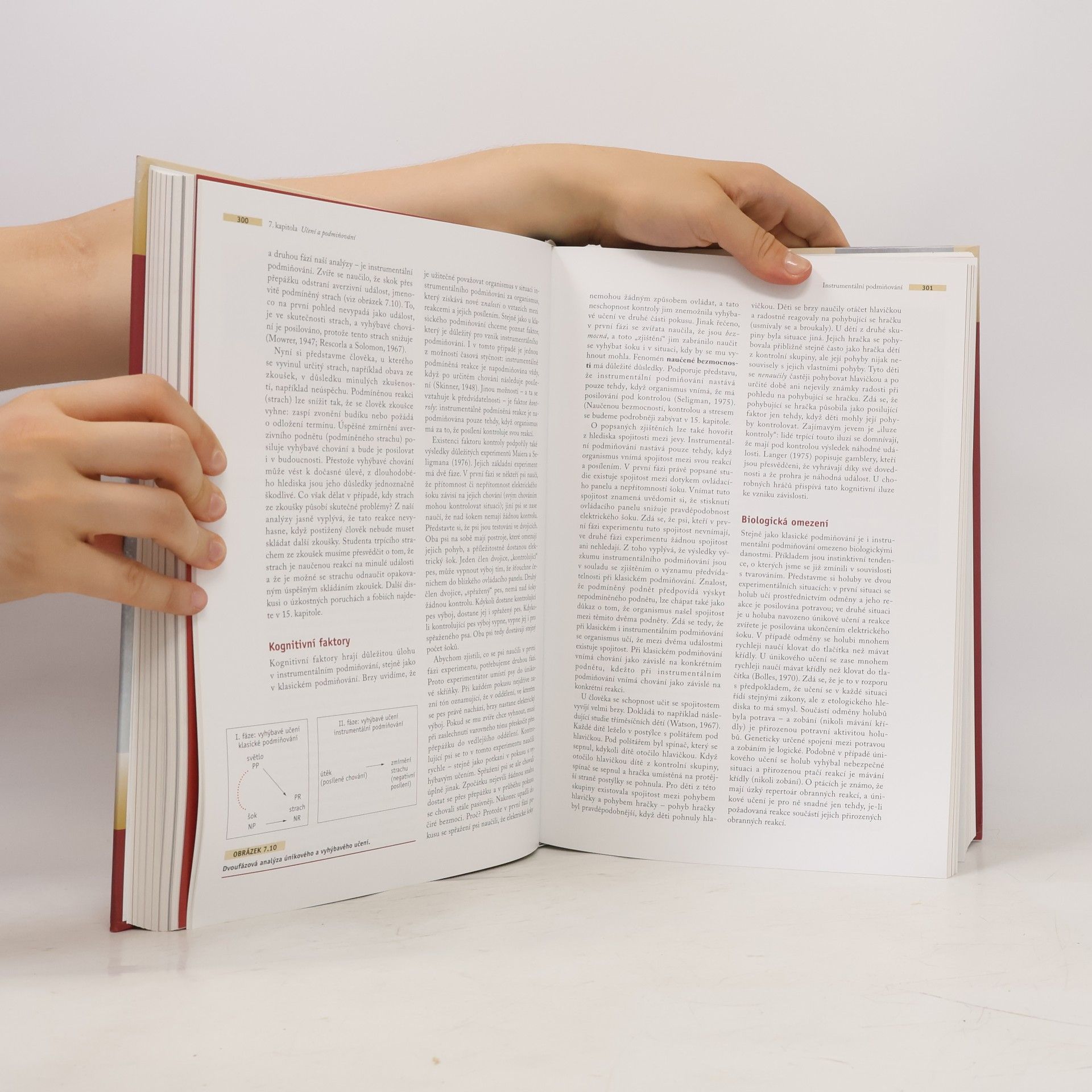 Susan Nolen-Hoeksema Psychologie Atkinsonové a Hilgarda