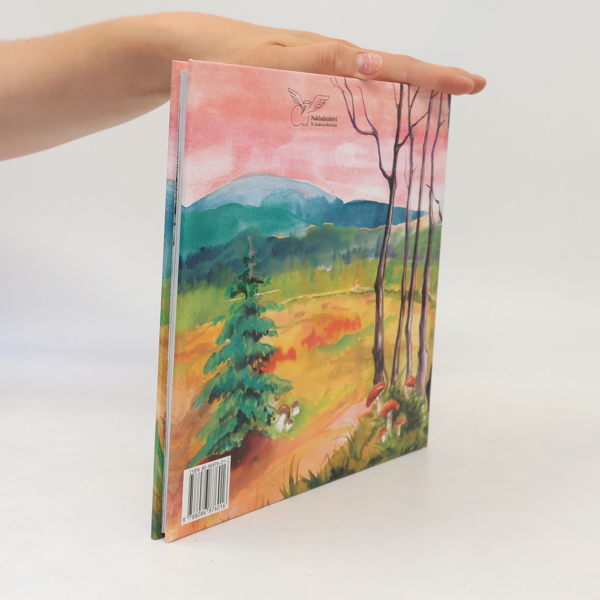Roman Kozák Další pohádky ze šumavských lokálek