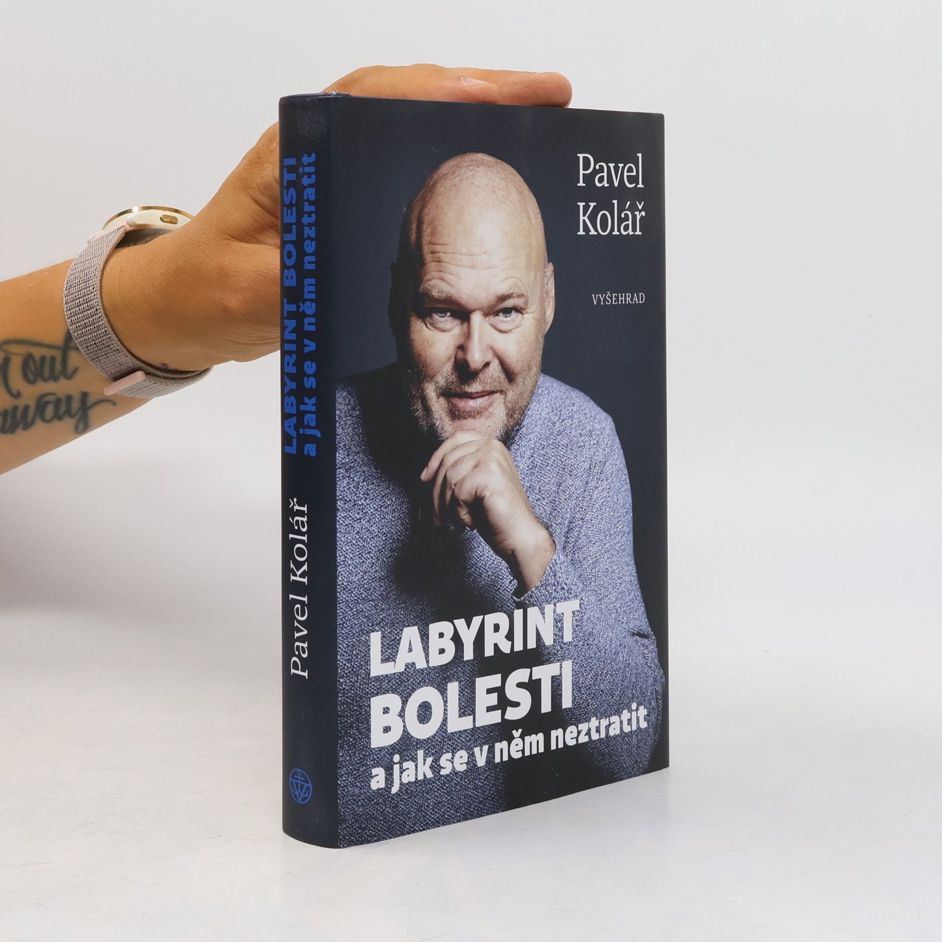 Pavel Kolář Labyrint bolesti a jak se v něm neztratit