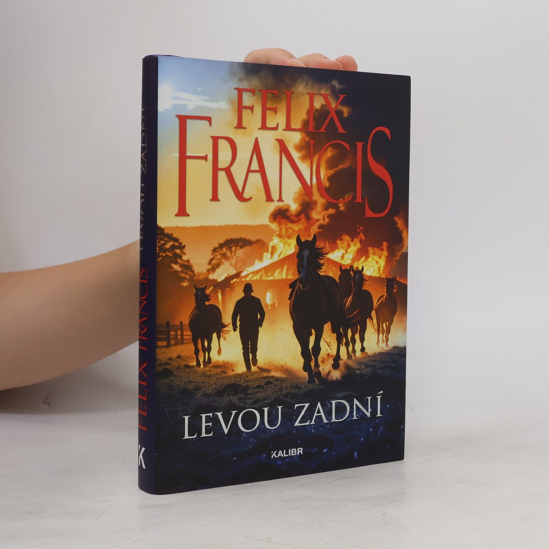 Levou zadní