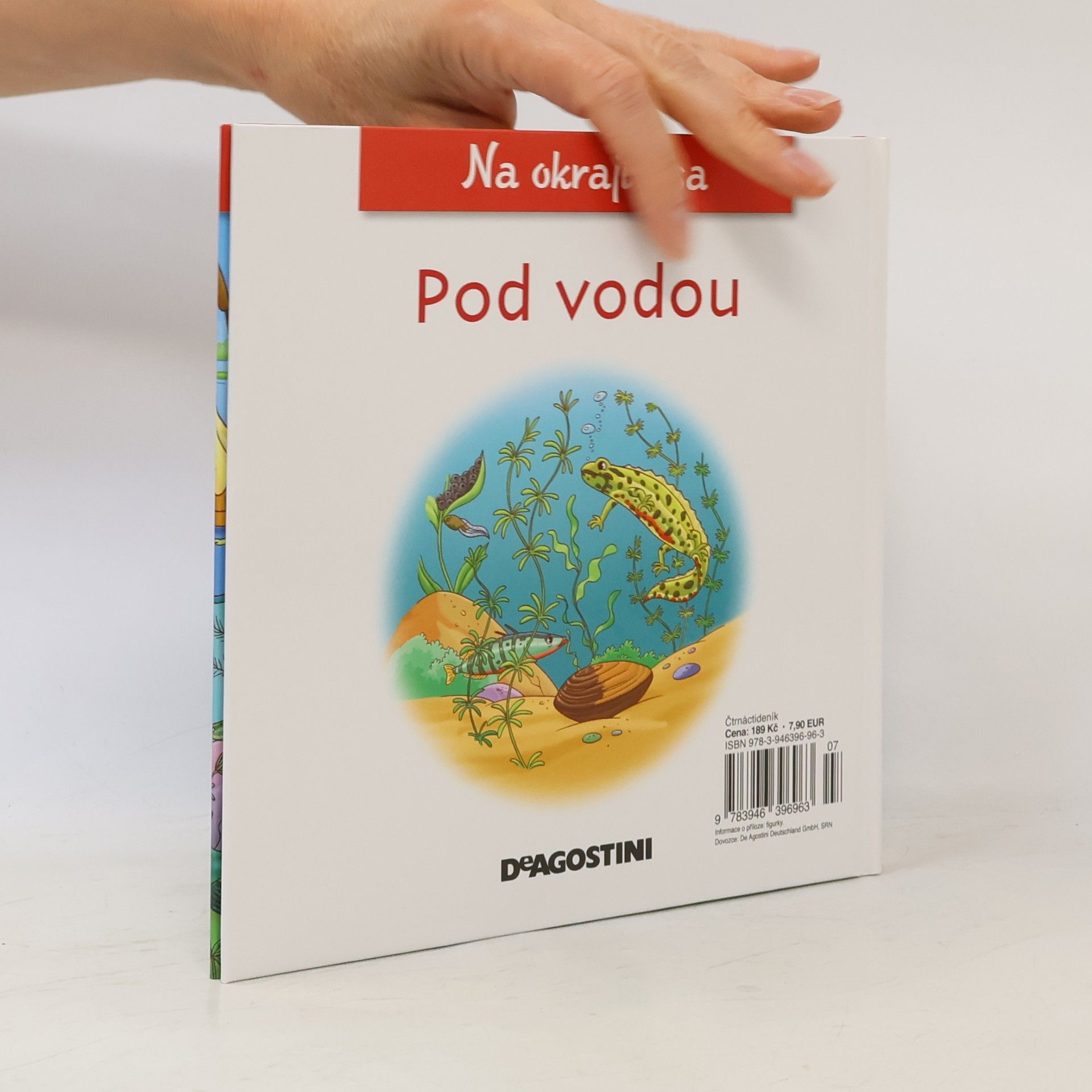 Autorenkollektiv Na okraji lesa 39. Pod vodou