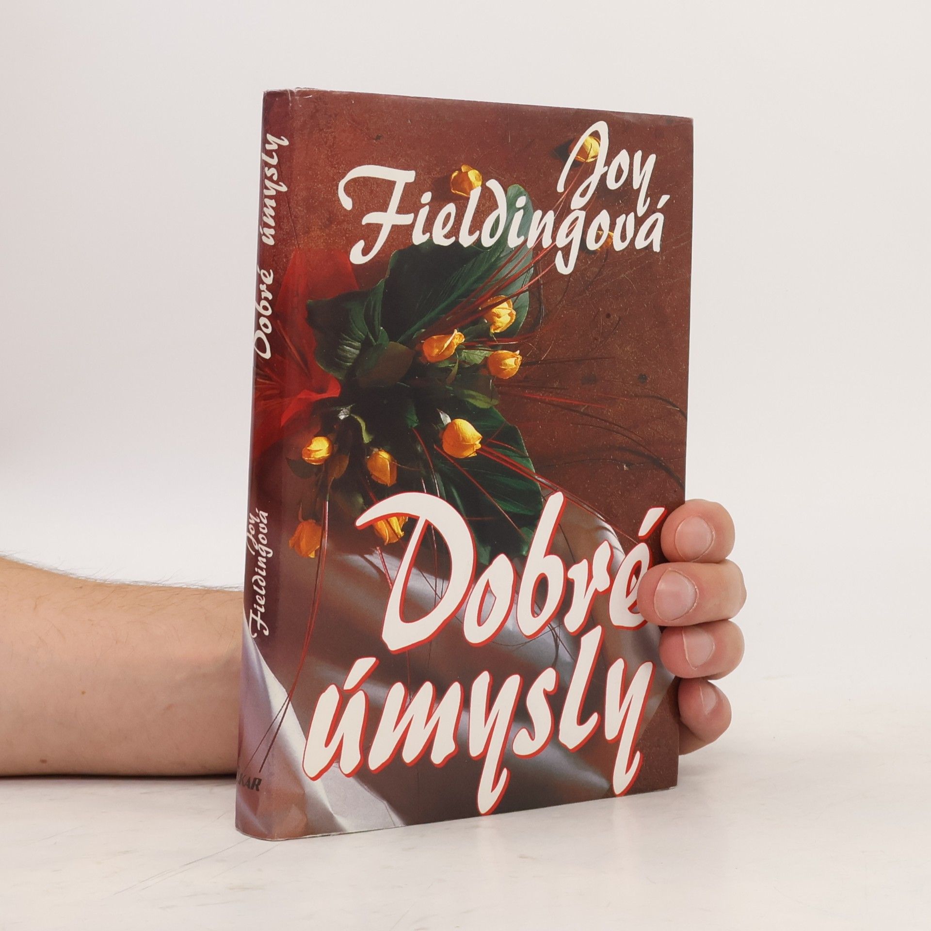 Joy Fielding Dobré úmysly