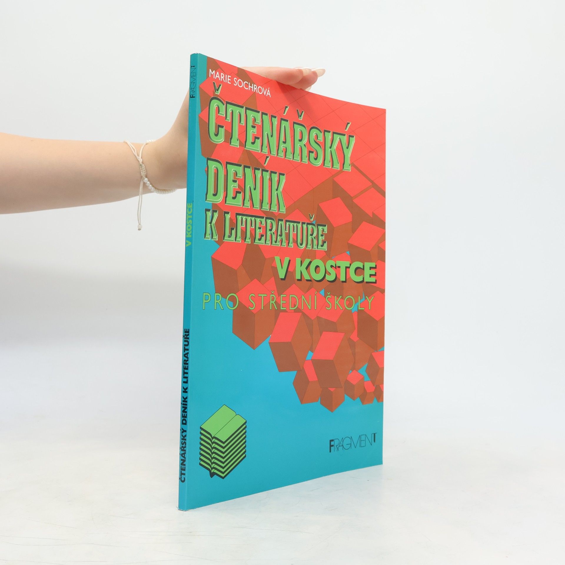 Marie Sochrová Čtenářský deník k Literatuře v kostce
