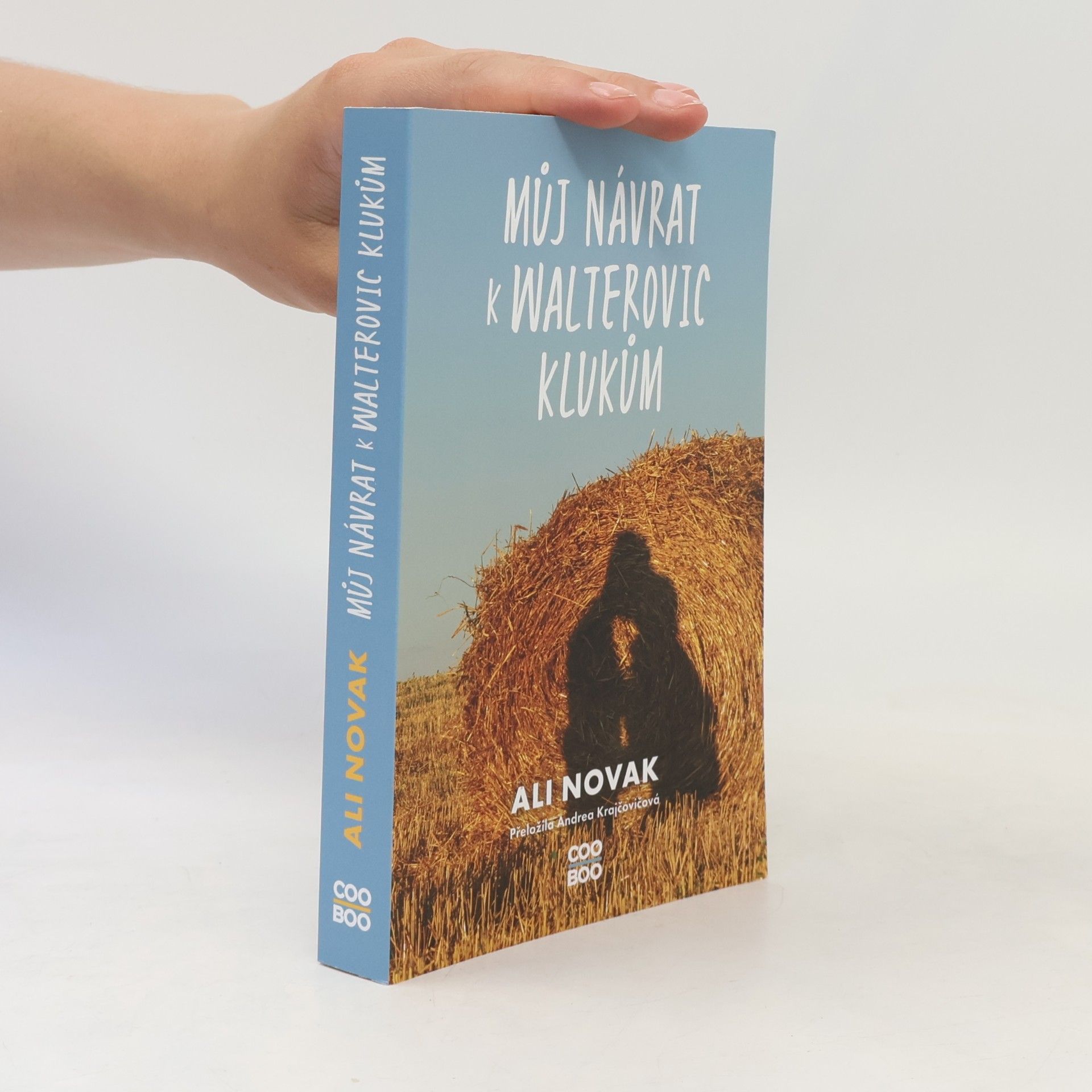 Můj návrat k Walterovic klukům