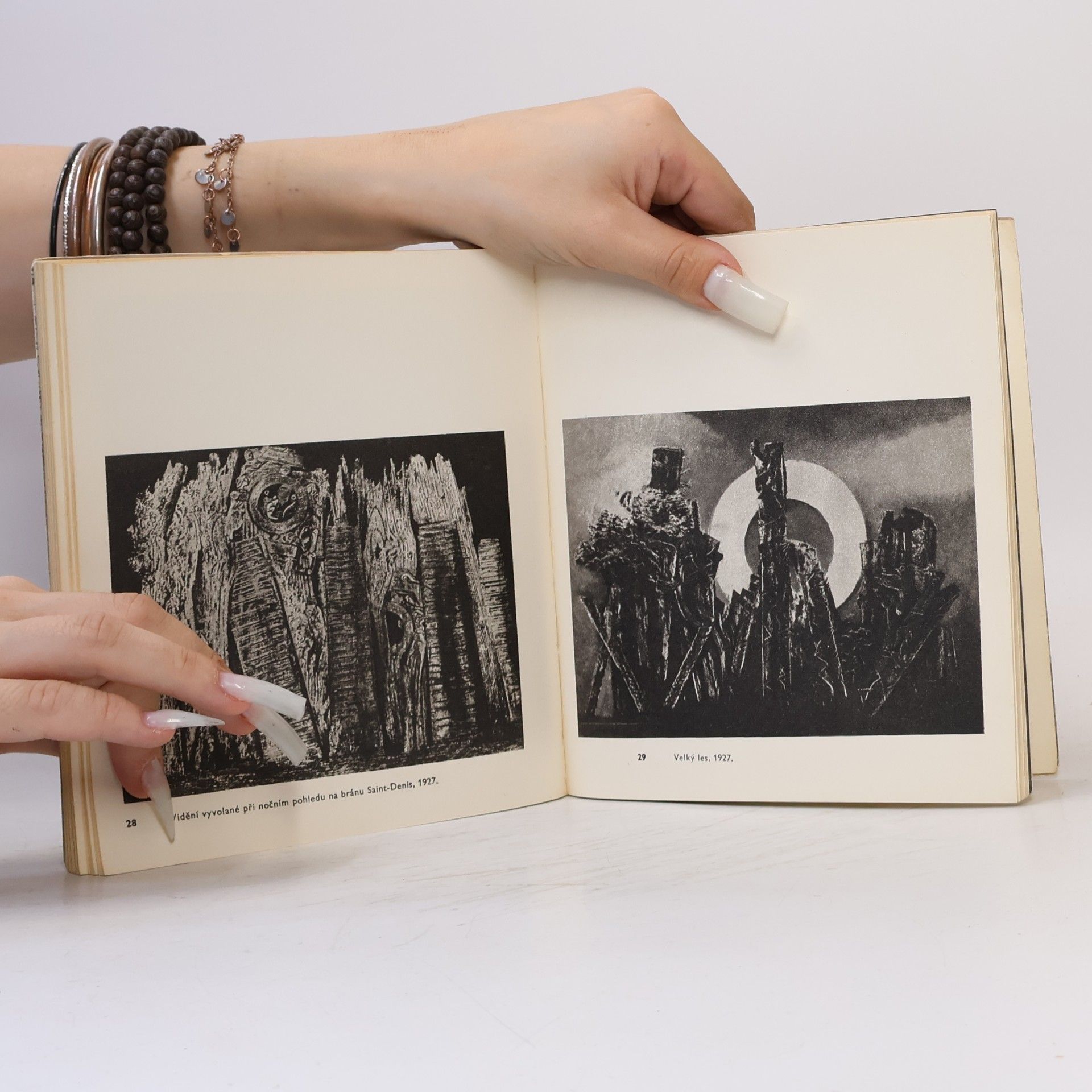 Eva Petrová Současné světové umění 19: Max Ernst