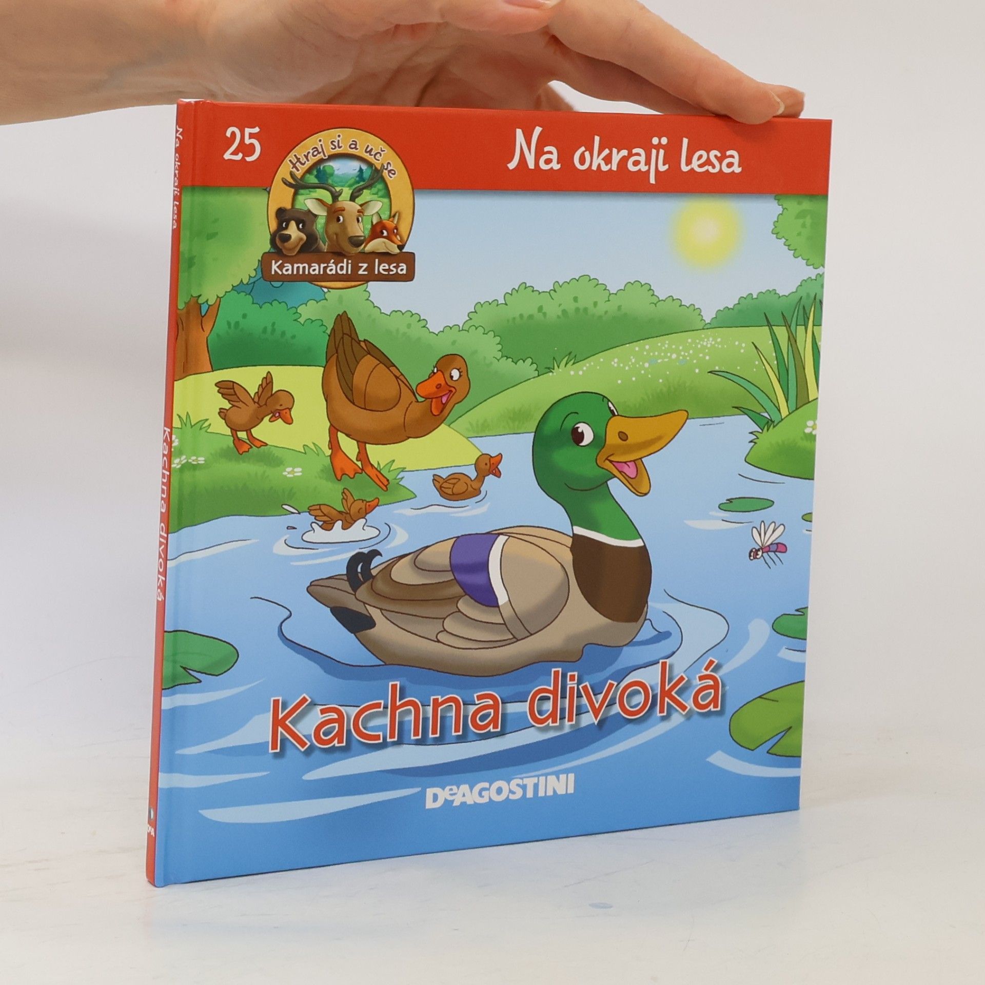 Kolektiv autorů Na okraji lesa 25. Kachna divoká