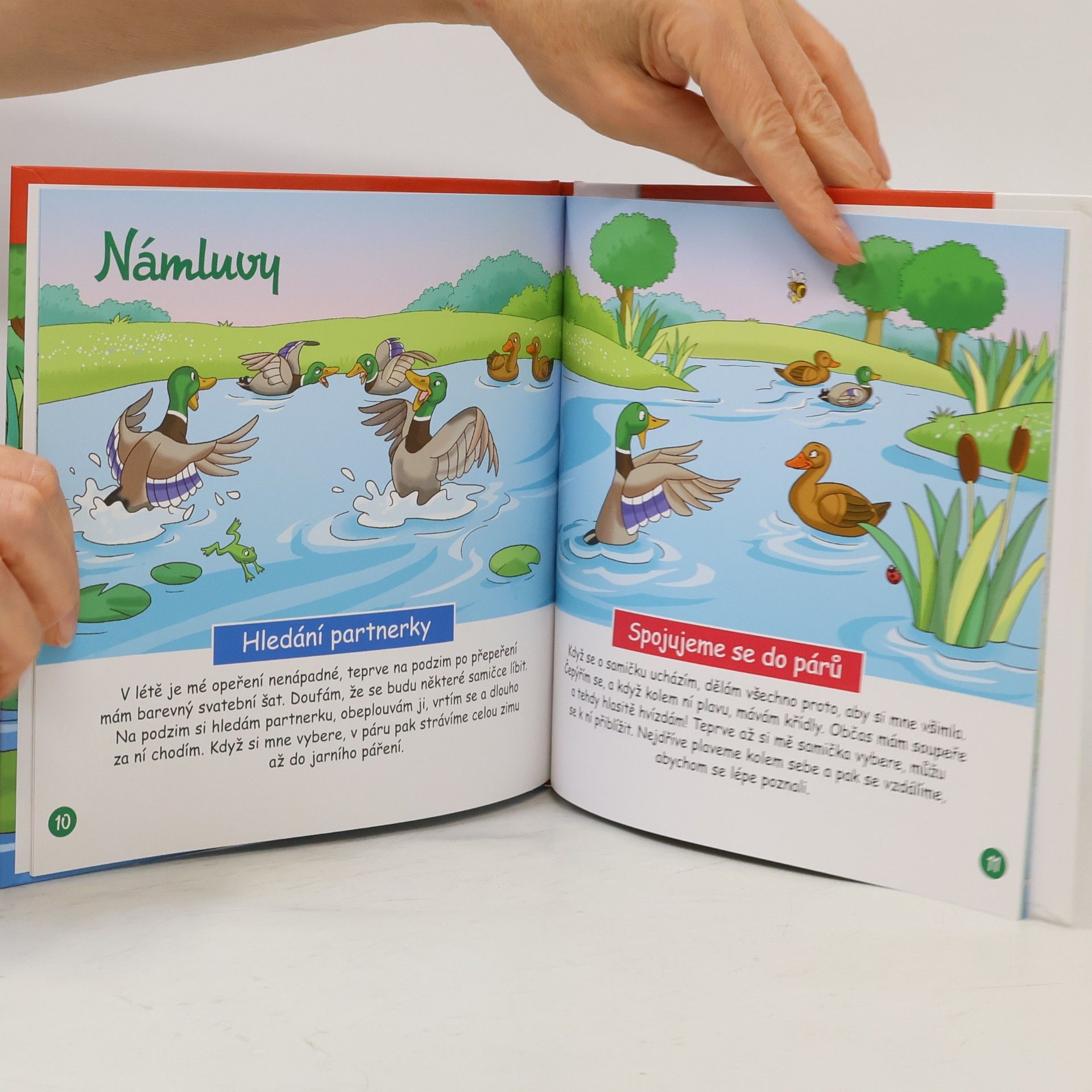 Autores varios Na okraji lesa 25. Kachna divoká