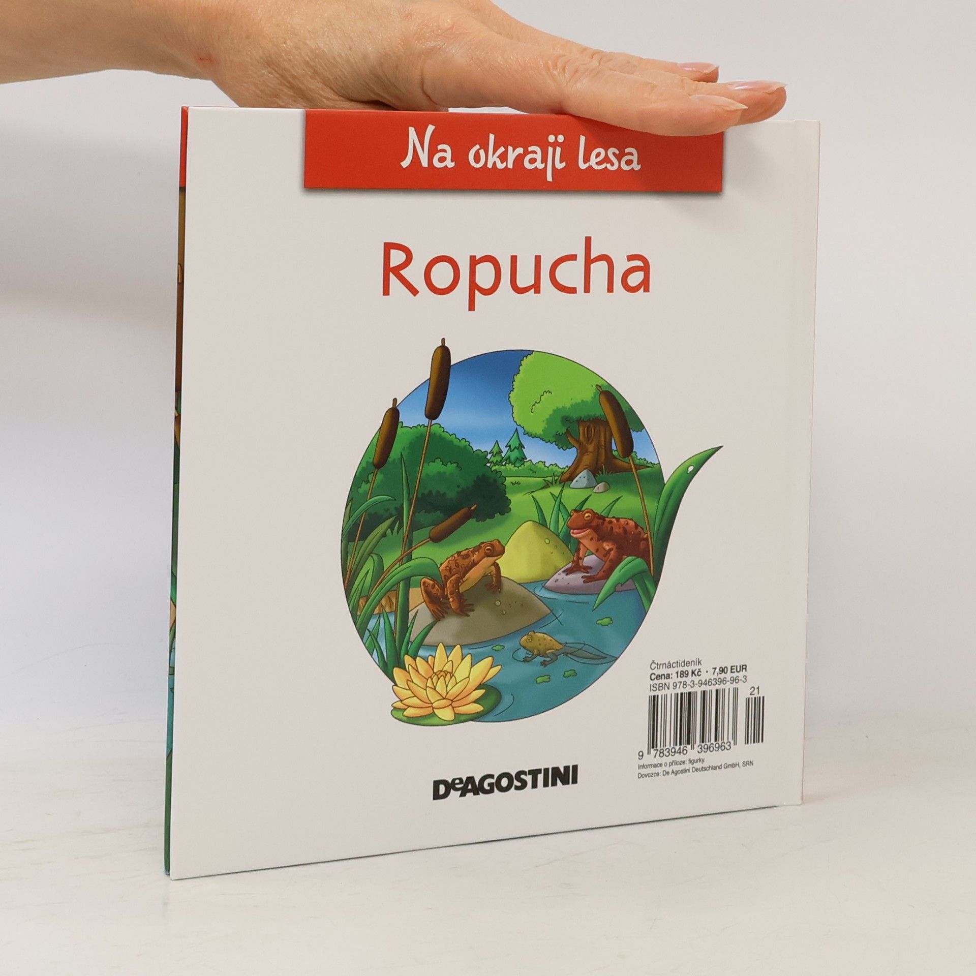 Kolektiv autorů Na okraji lesa 20. Ropucha