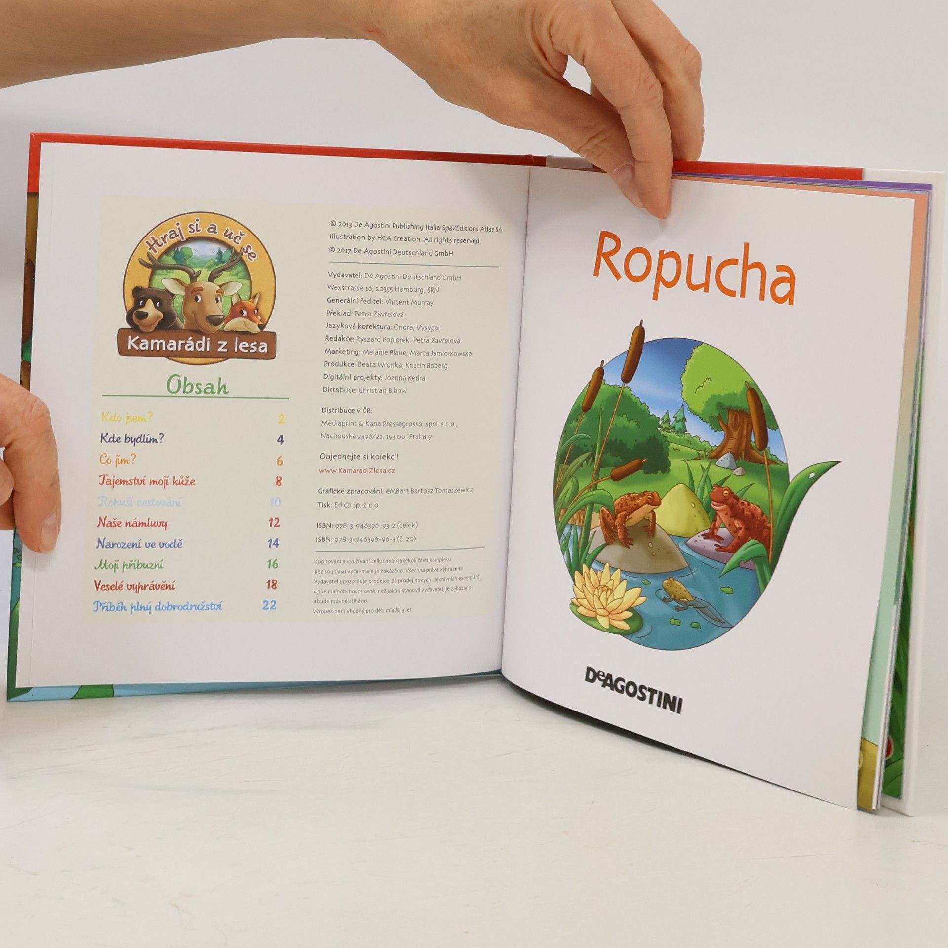 Kolektiv autorů Na okraji lesa 20. Ropucha