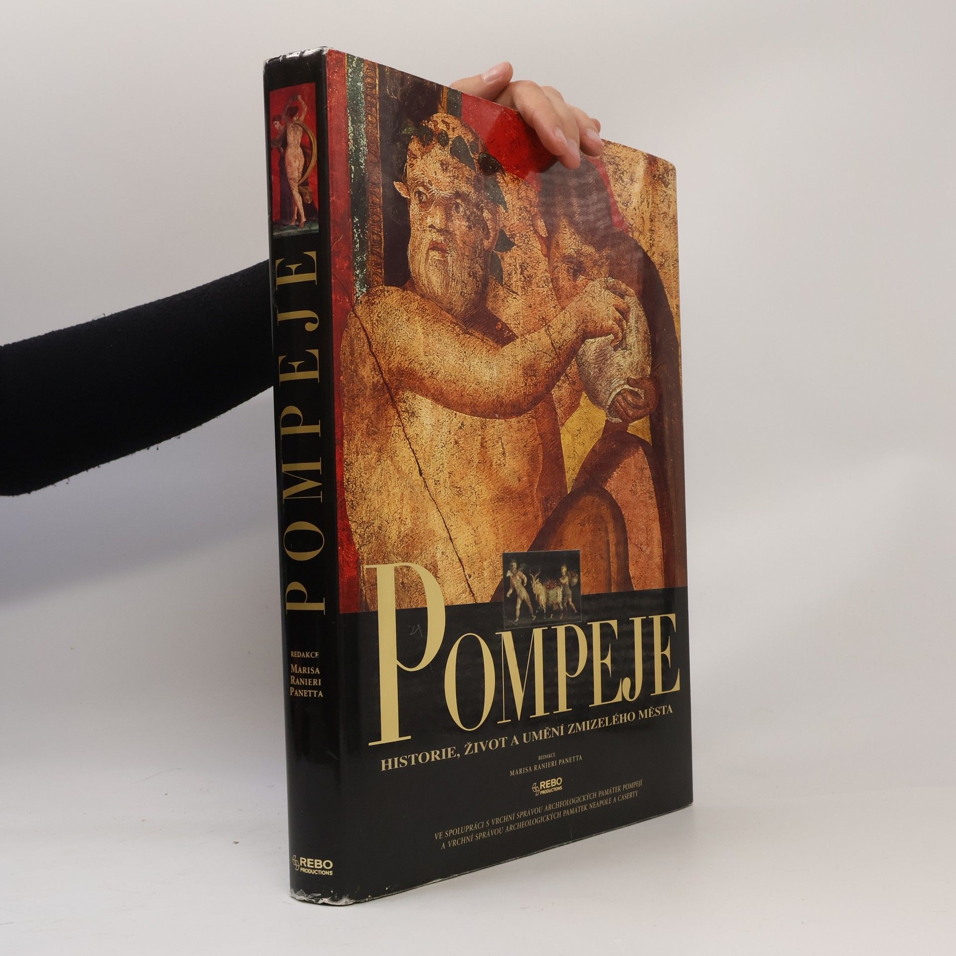 Araldo De Luca Pompeje: Historie, život a umění zmizelého města