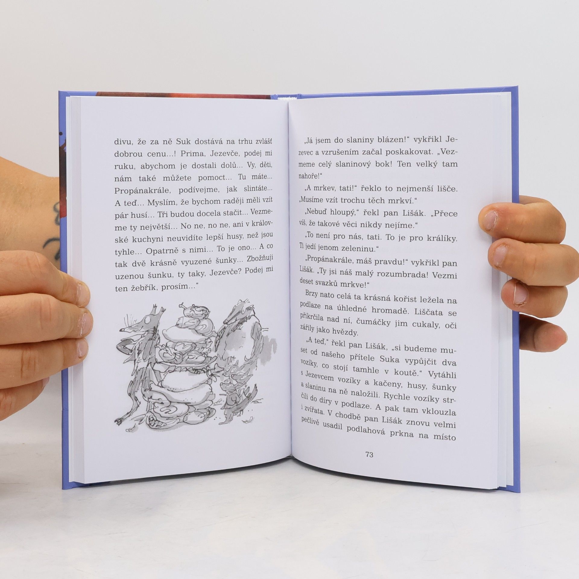 Roald Dahl Fantastický pan Lišák