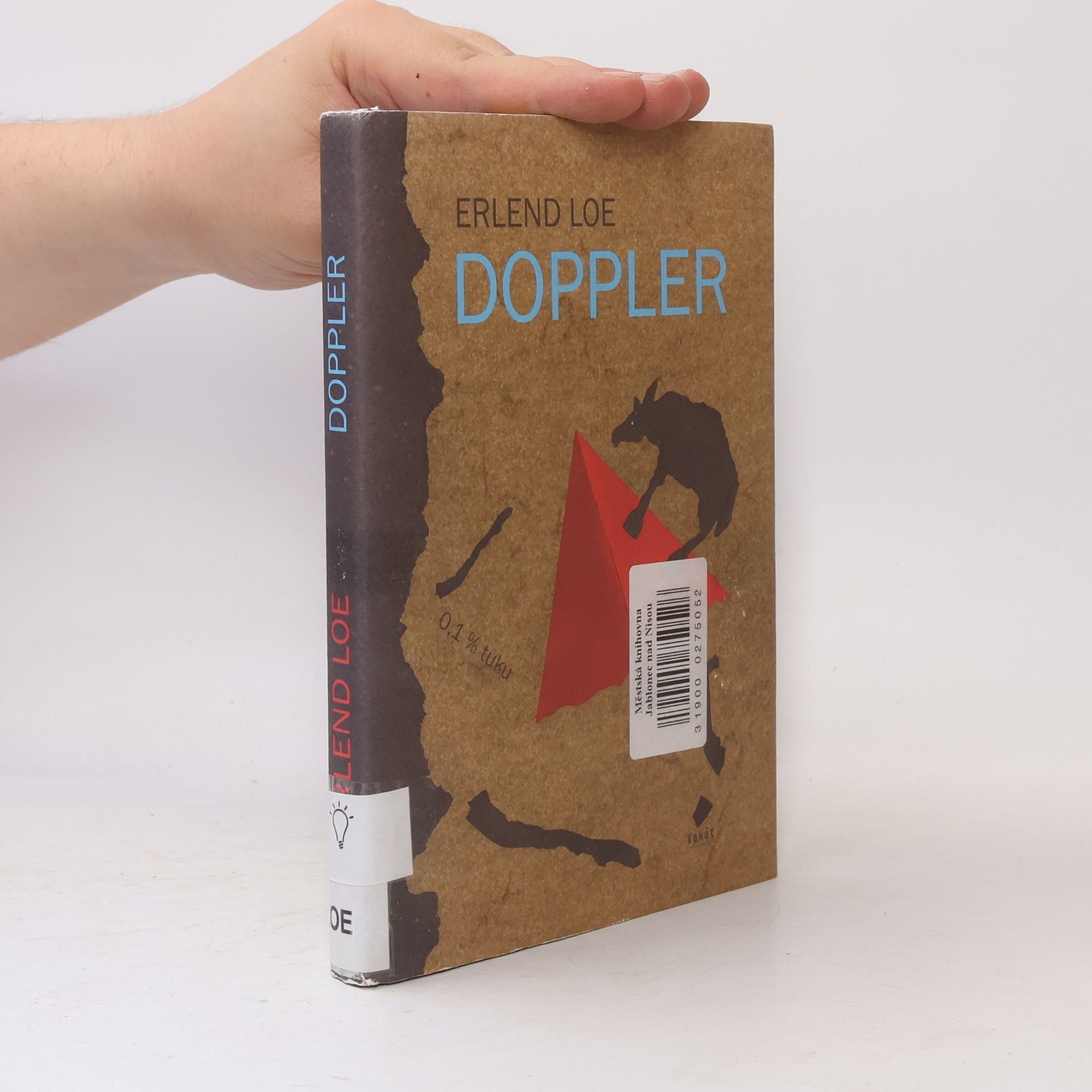 Erlend Loe Doppler