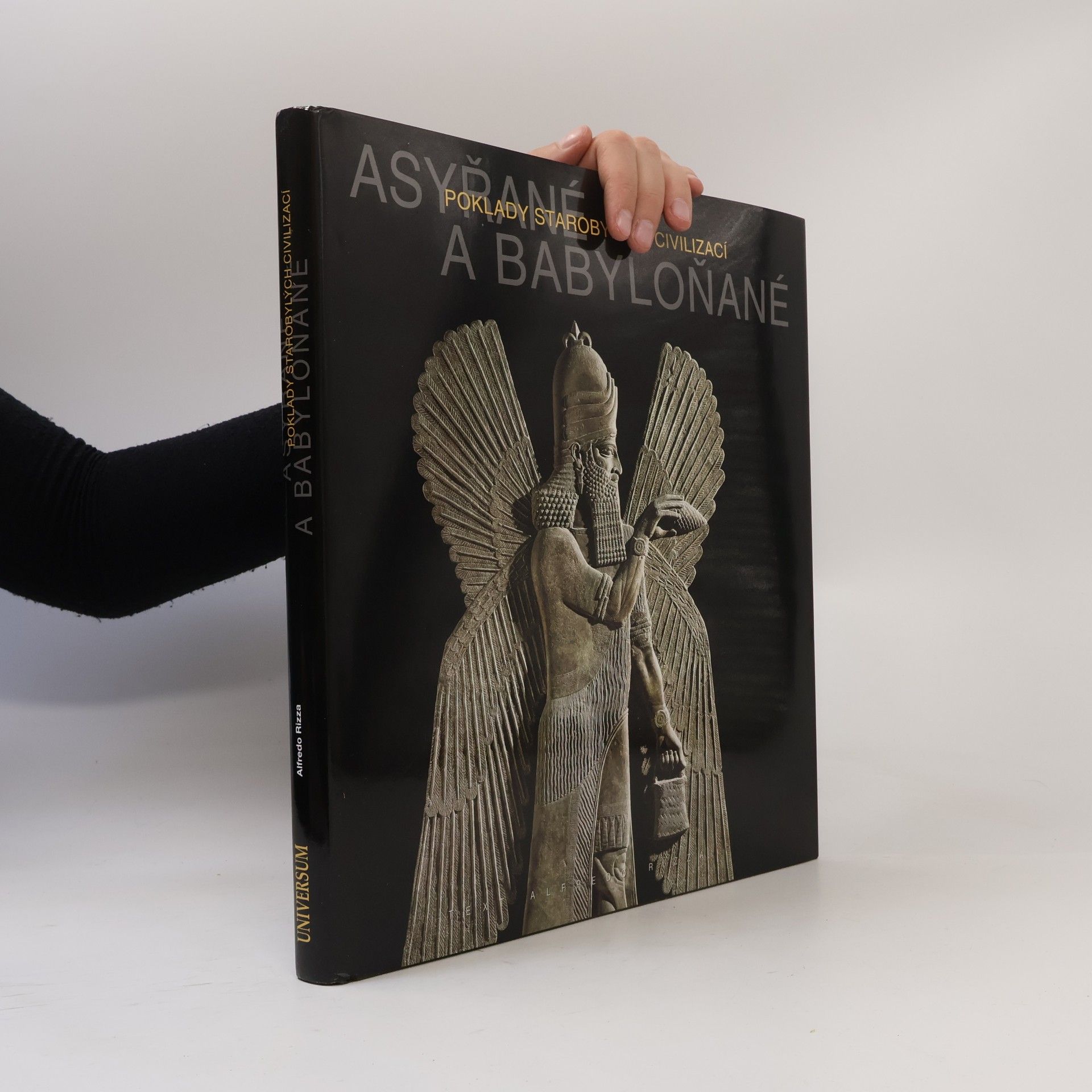 Alfredo Rizza Asyřané a Babyloňané - Poklady starobylých civilizací