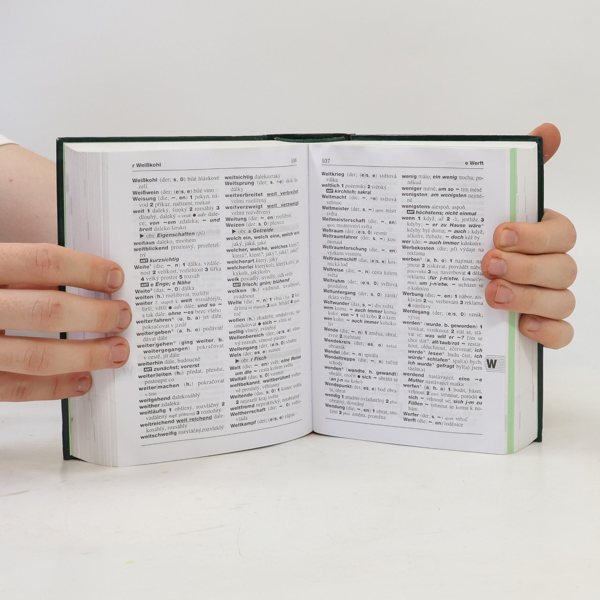 Autorenkollektiv Německo-český, česko-německý studijní slovník