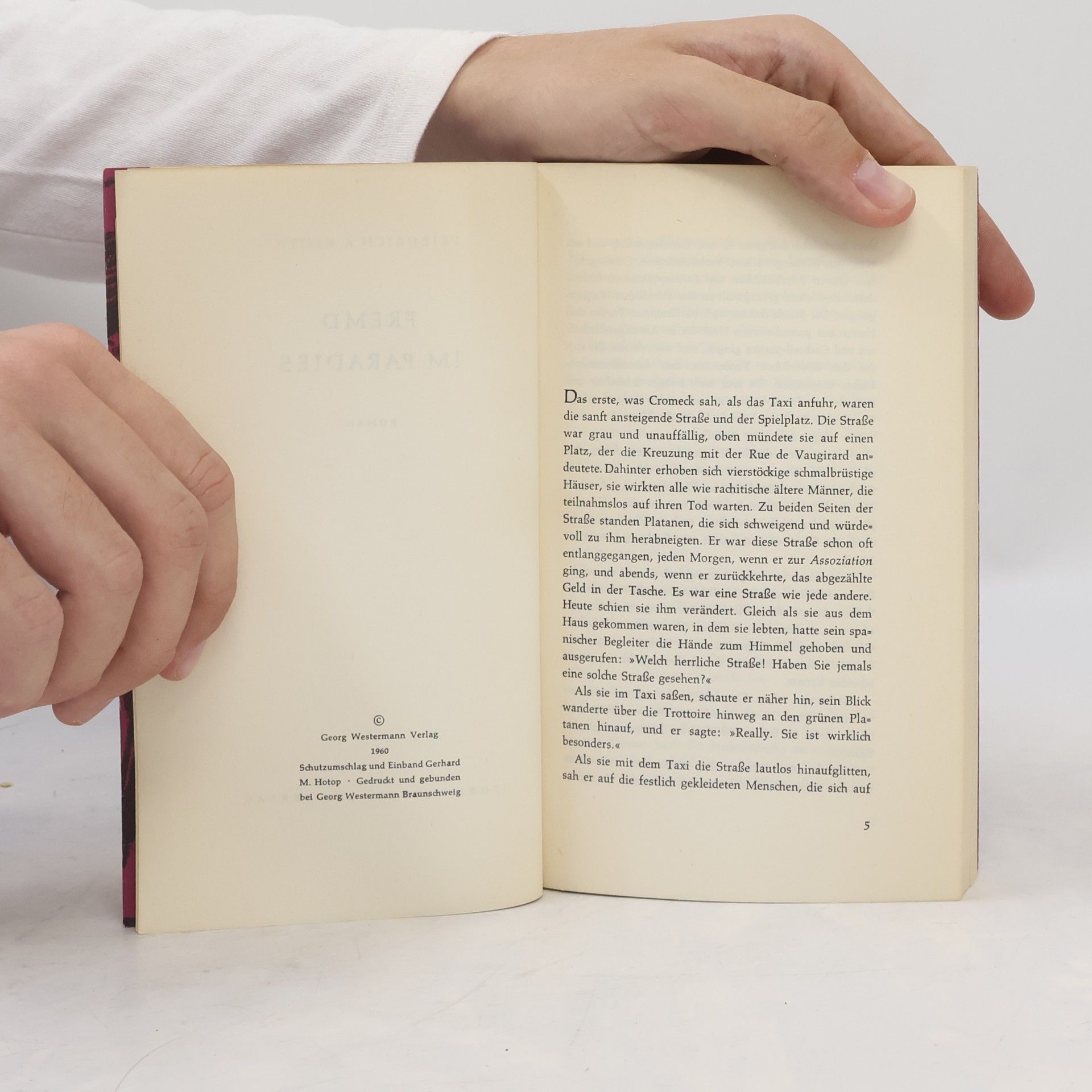 Friedrich A. Kloth Fremd im Paradies