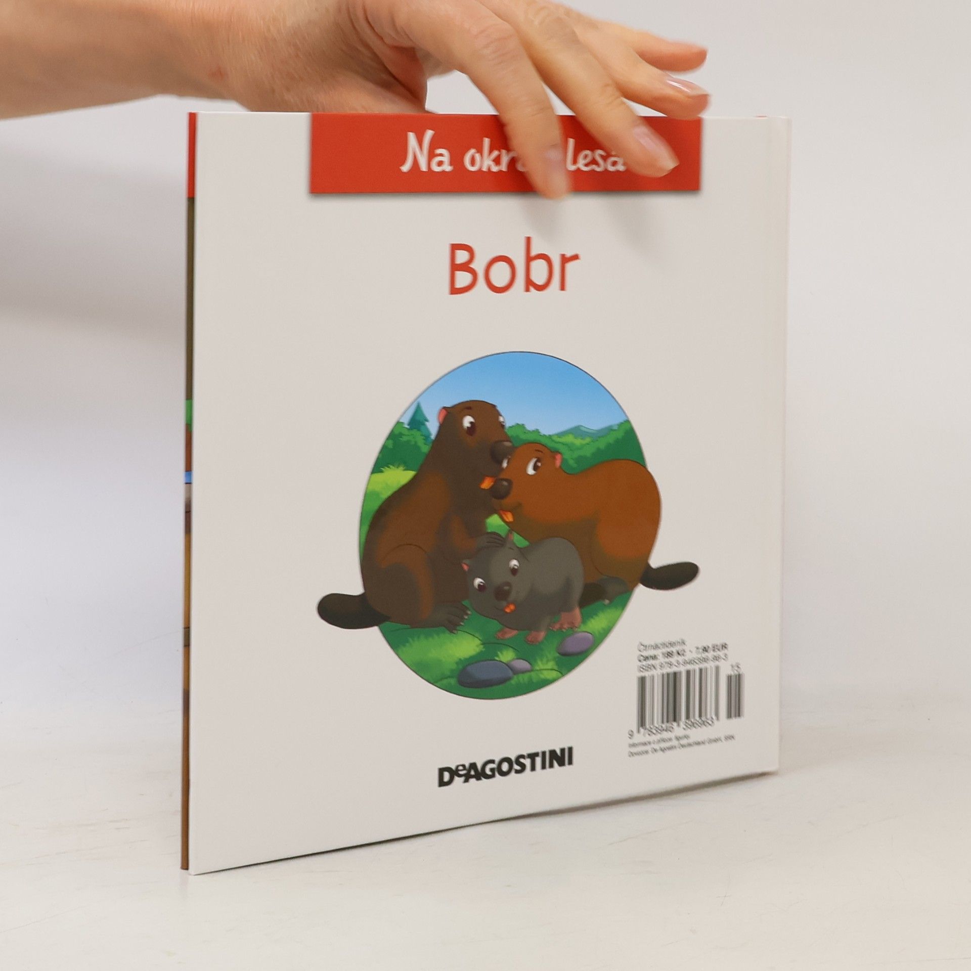 Kolektiv autorů Na okraji lesa 17. Bobr