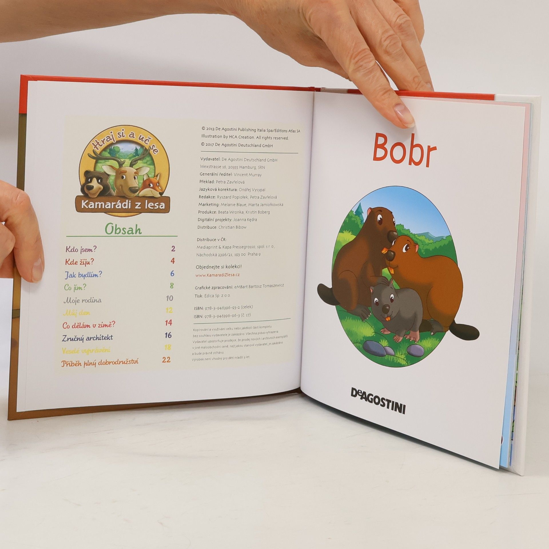 Kolektiv autorů Na okraji lesa 17. Bobr