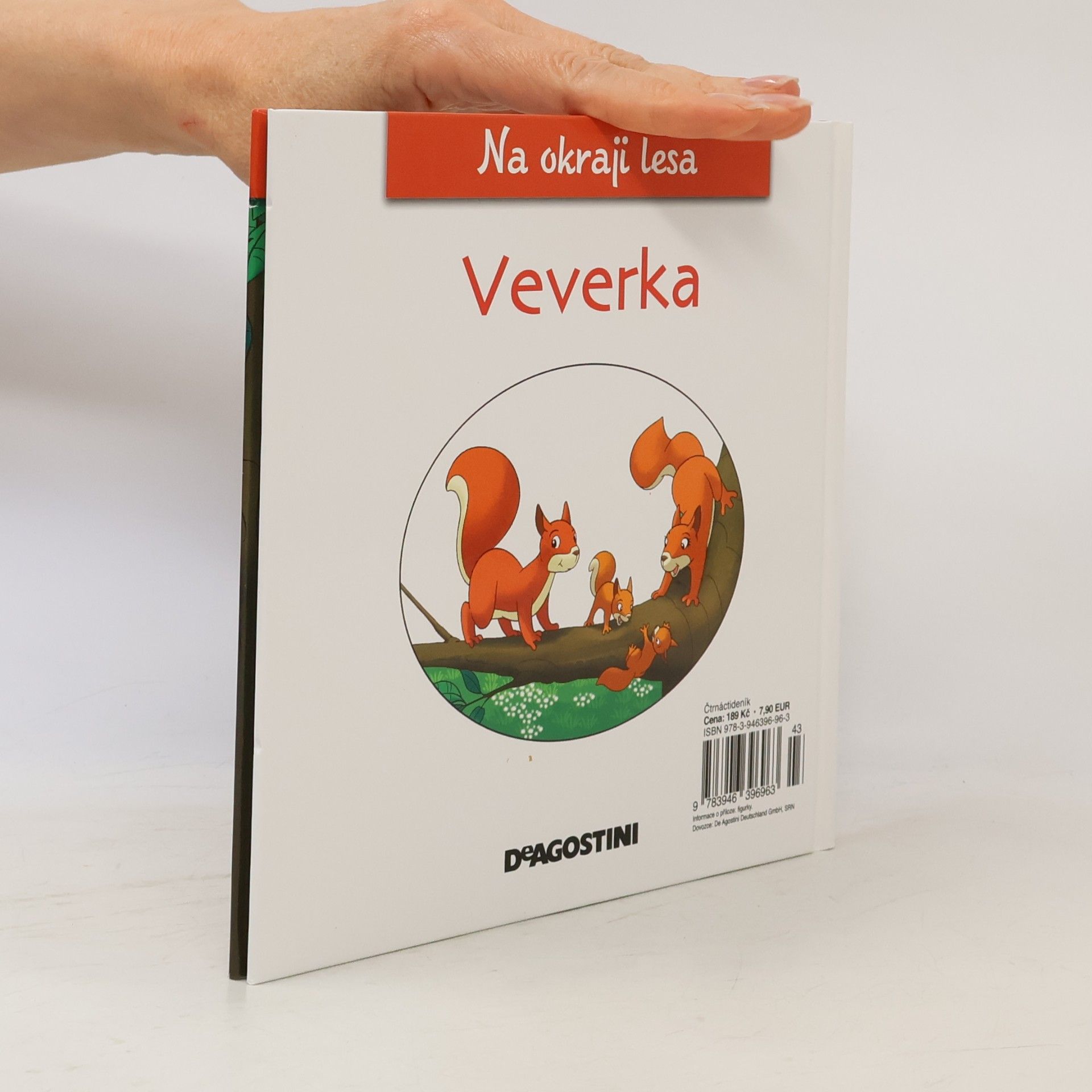 Kolektív autorov Na okraji lesa 5. Veverka