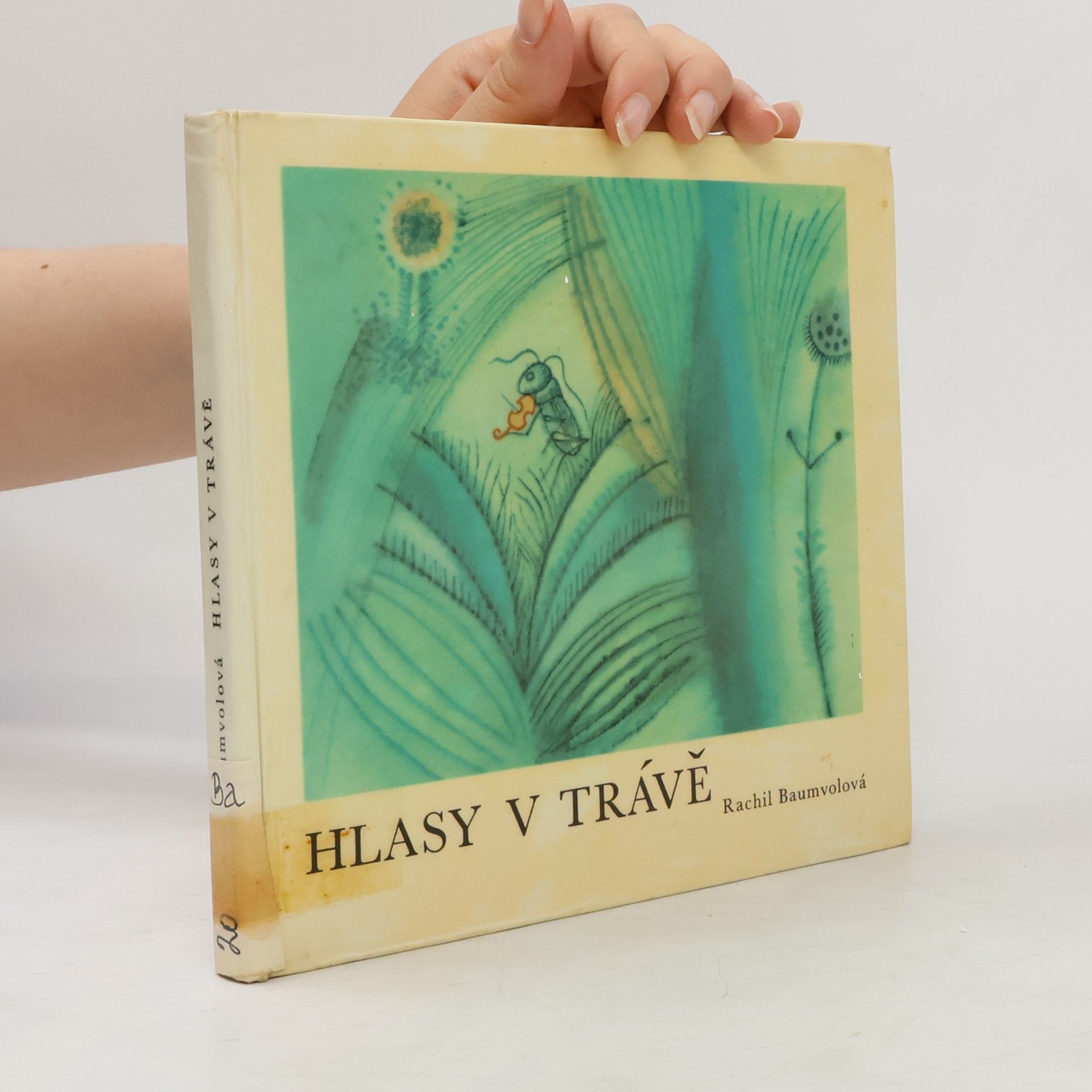 Rachil Baumvolová Hlasy v trávě