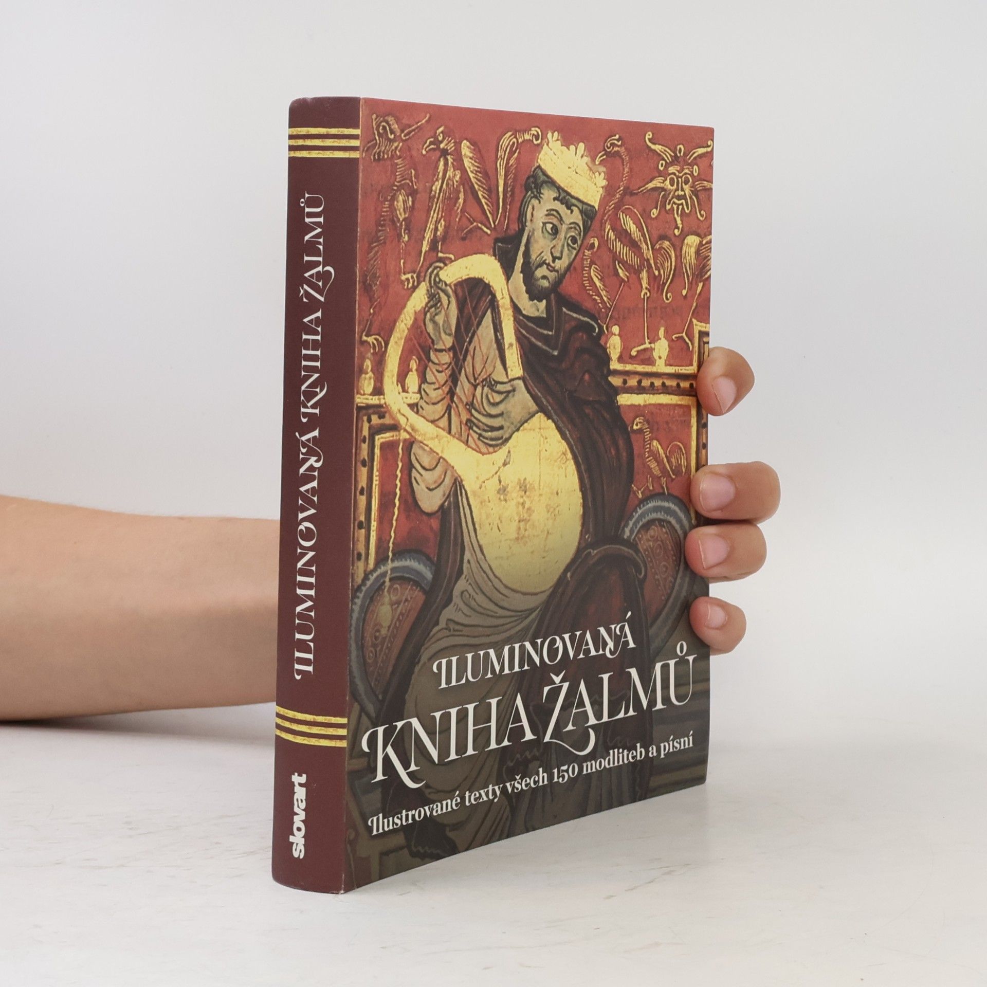 AA.VV. Iluminovaná kniha Žalmů