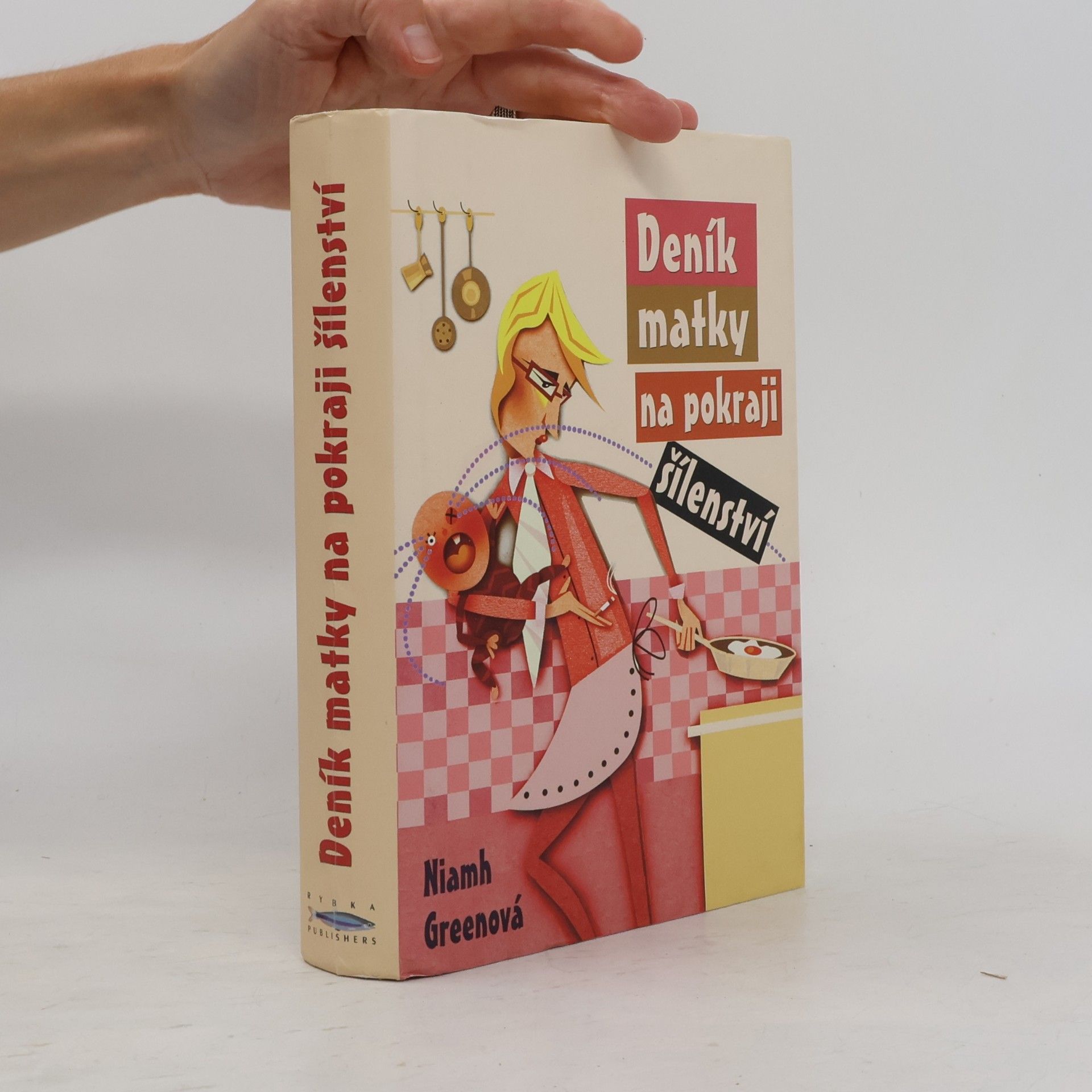 Niamh Greene Deník matky na pokraji šílenství
