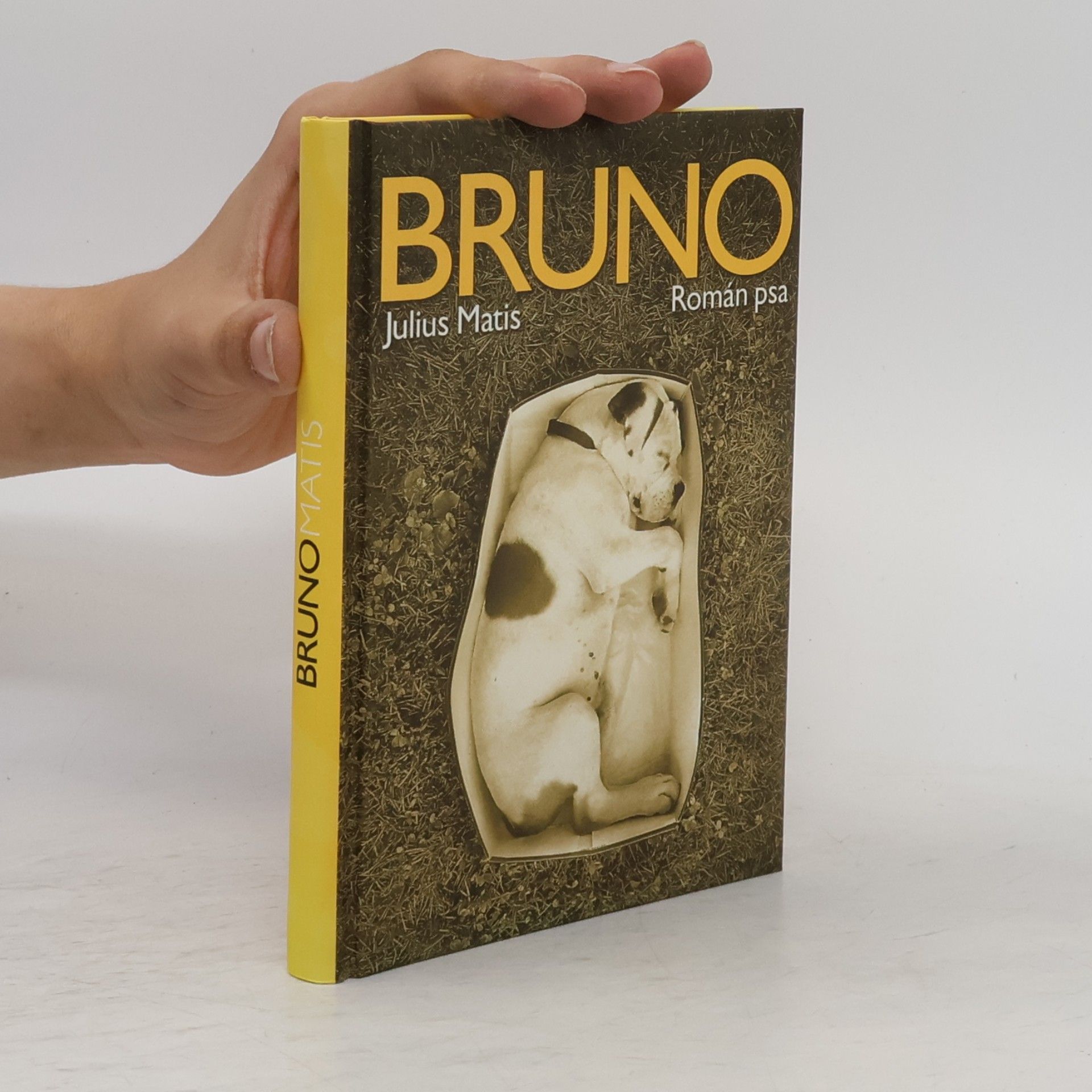 Julius Matis Bruno