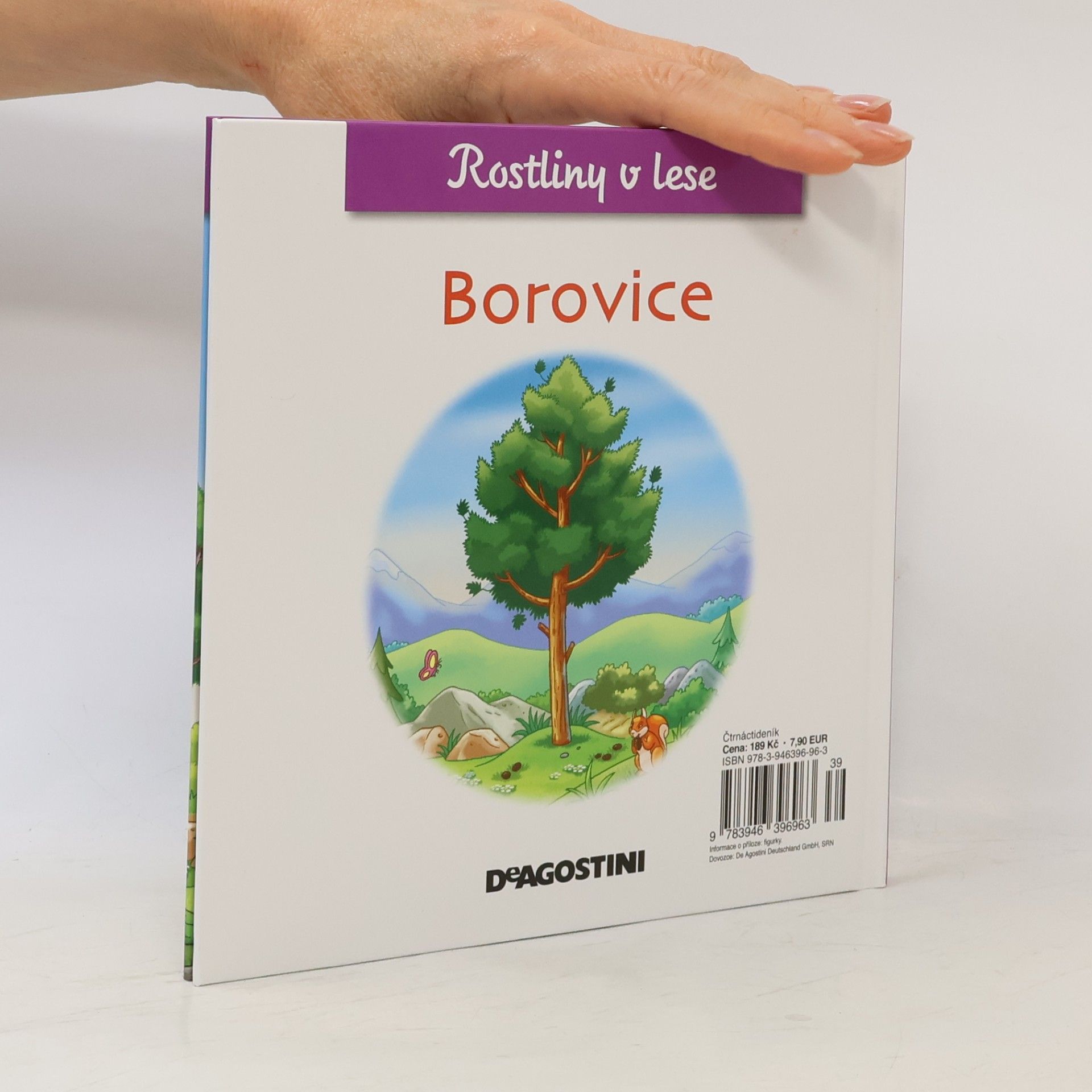 Kolektiv autorů Rostliny v lese 29. Borovice