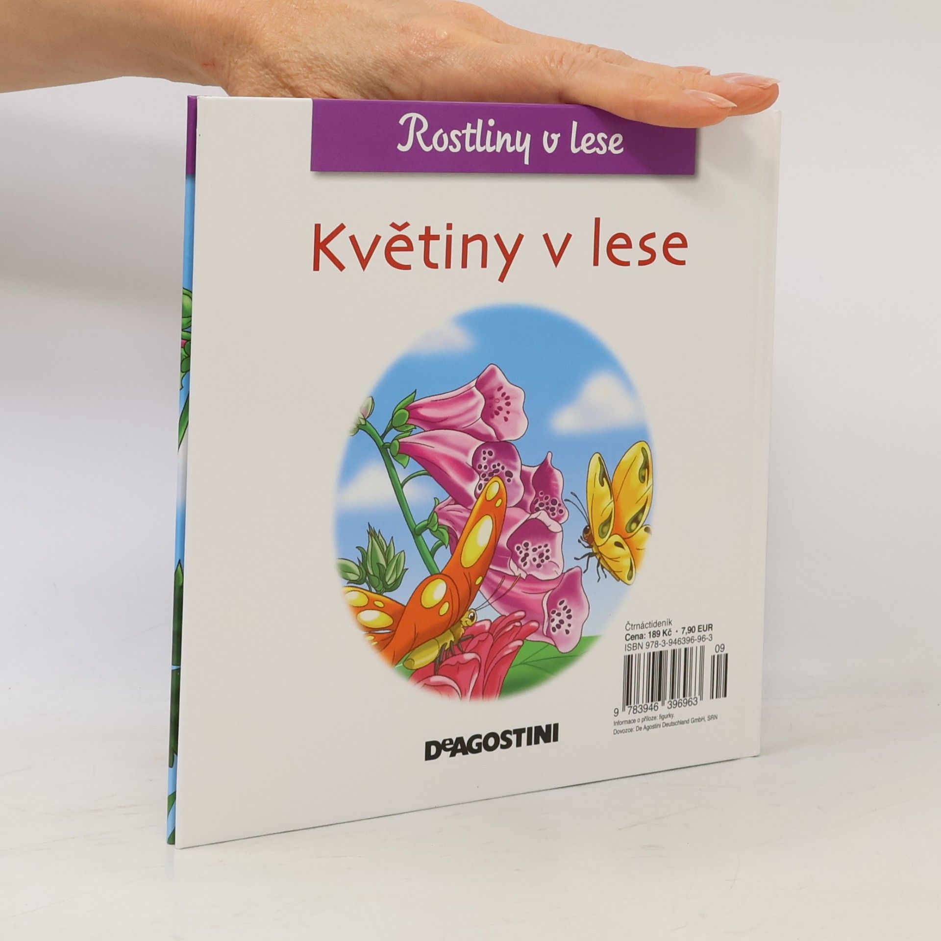 Autorenkollektiv Rostliny v lese 40. Květiny v lese