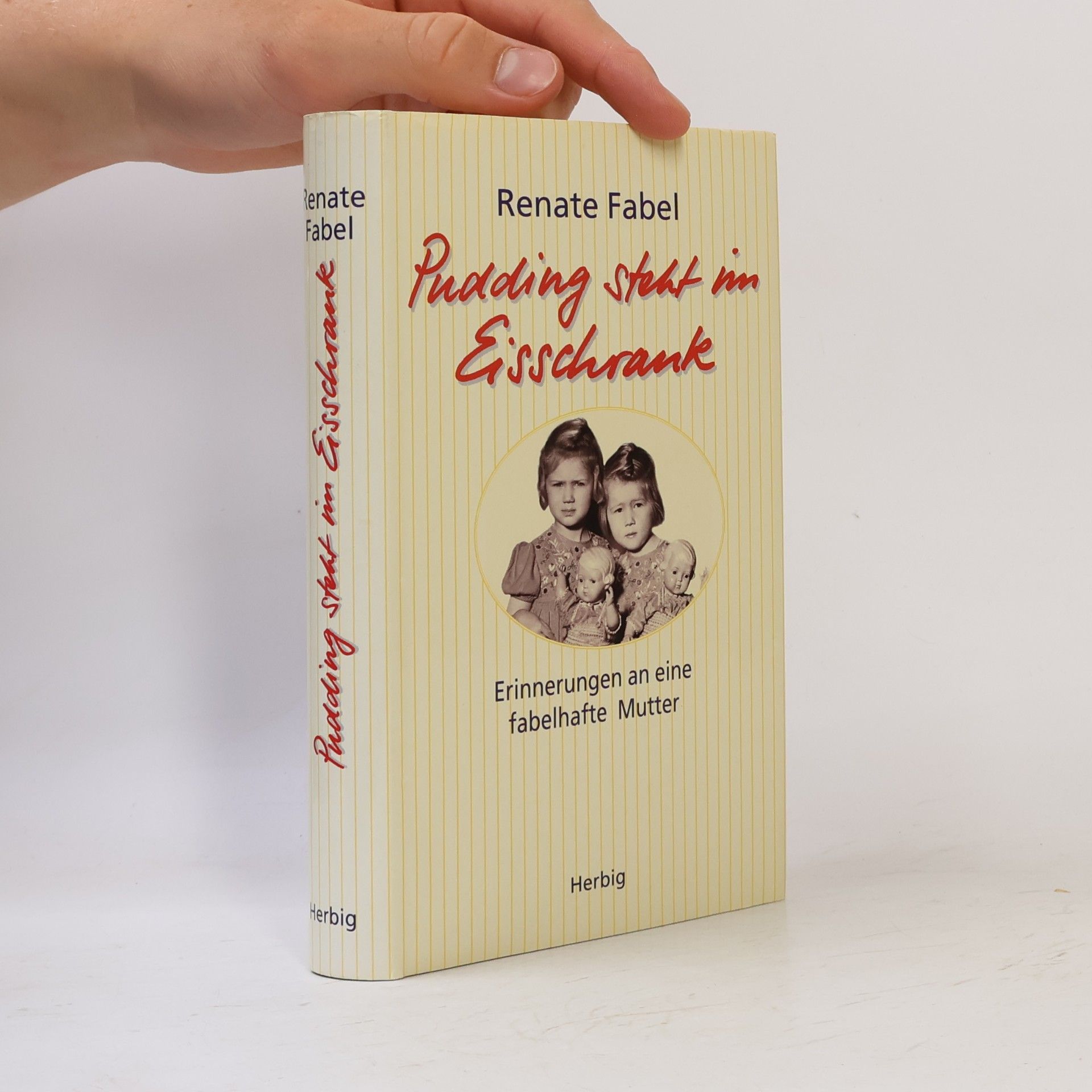 Renate Fabel Pudding steht im Eisschrank