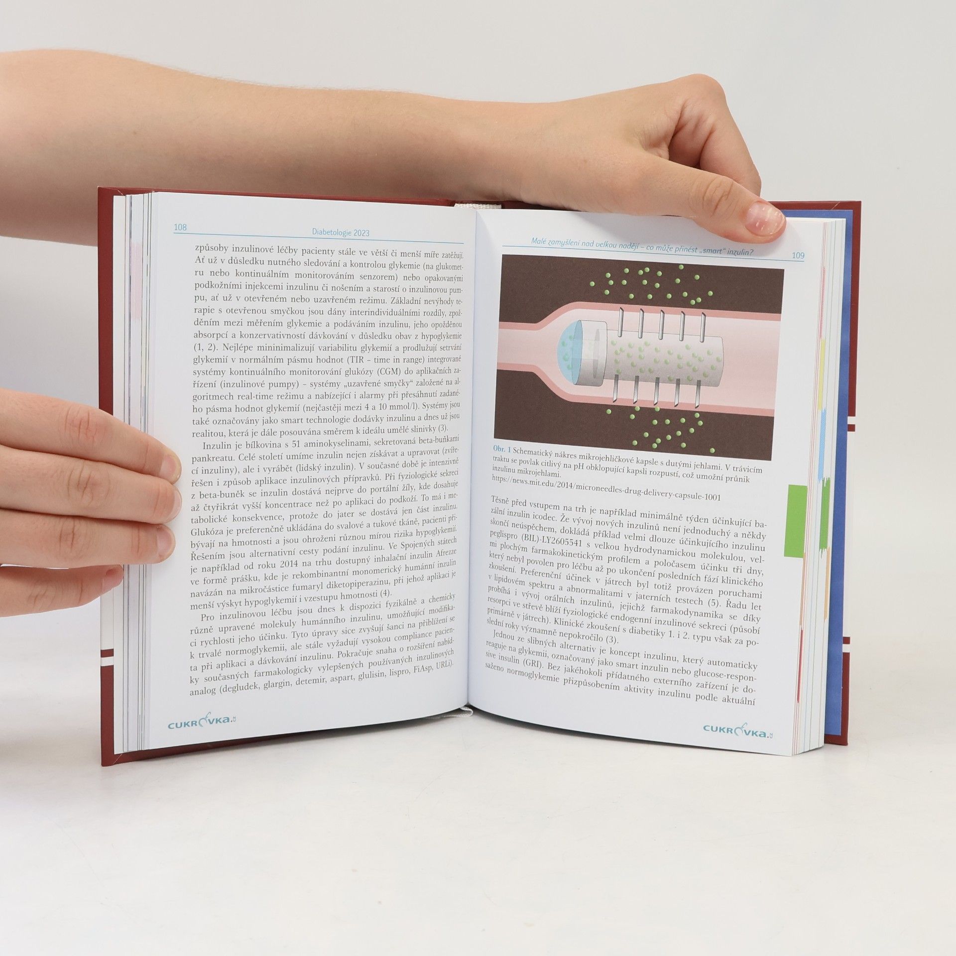 Milan Kvapil Diabetologie 2023