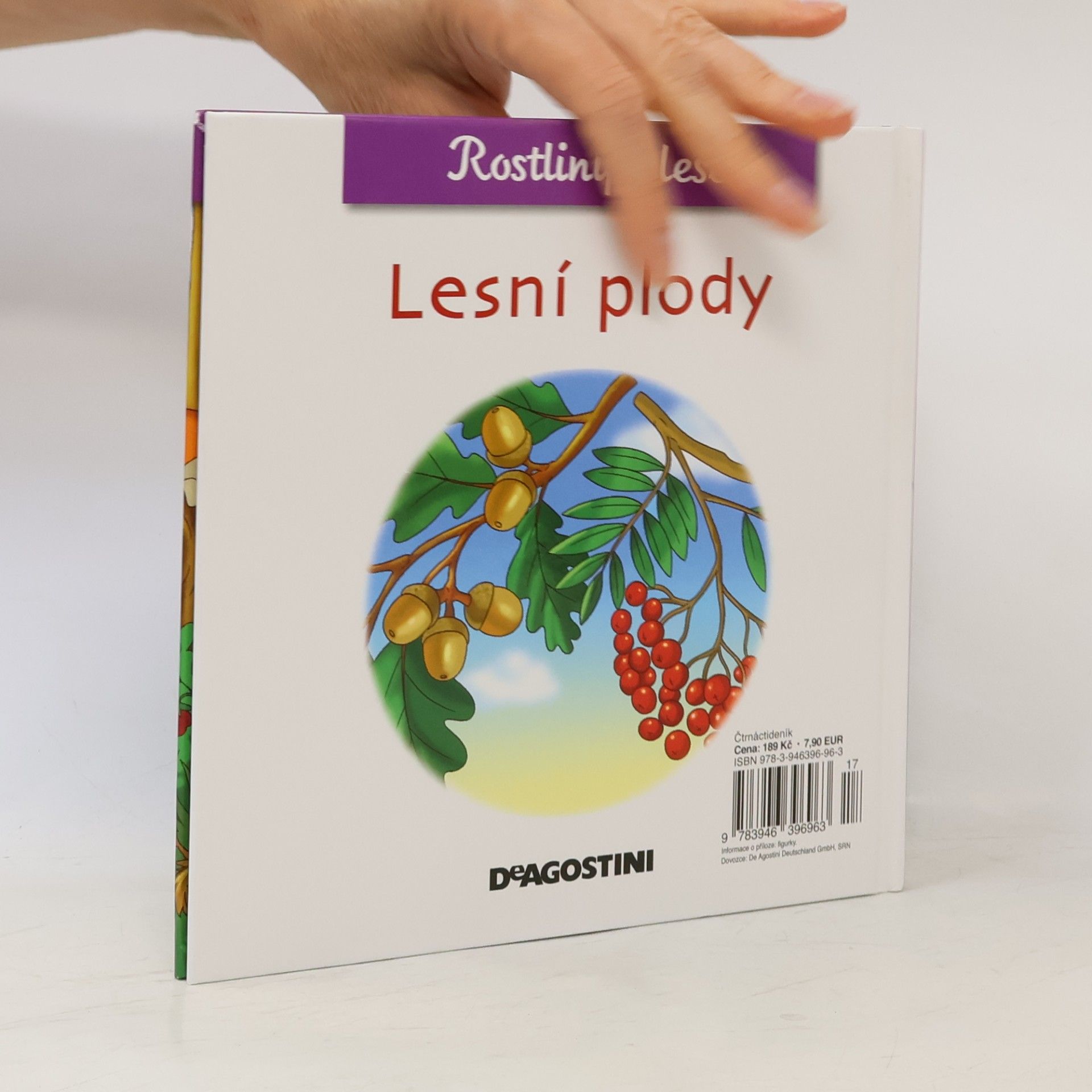 Miluše Rysová Rostliny v lese 44. Lesní plody