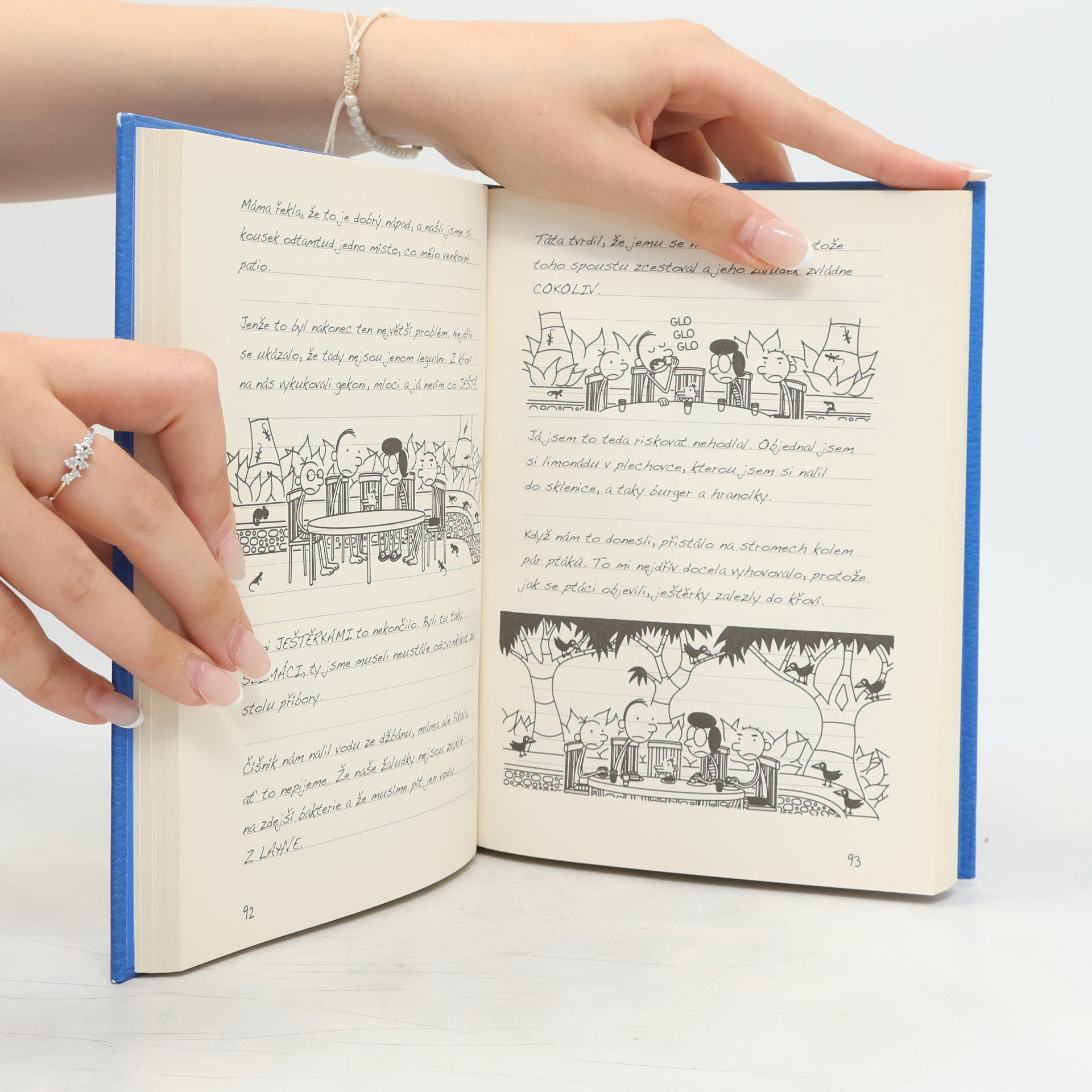 Jeff Kinney Deník malého poseroutky 12. Výprava za teplem
