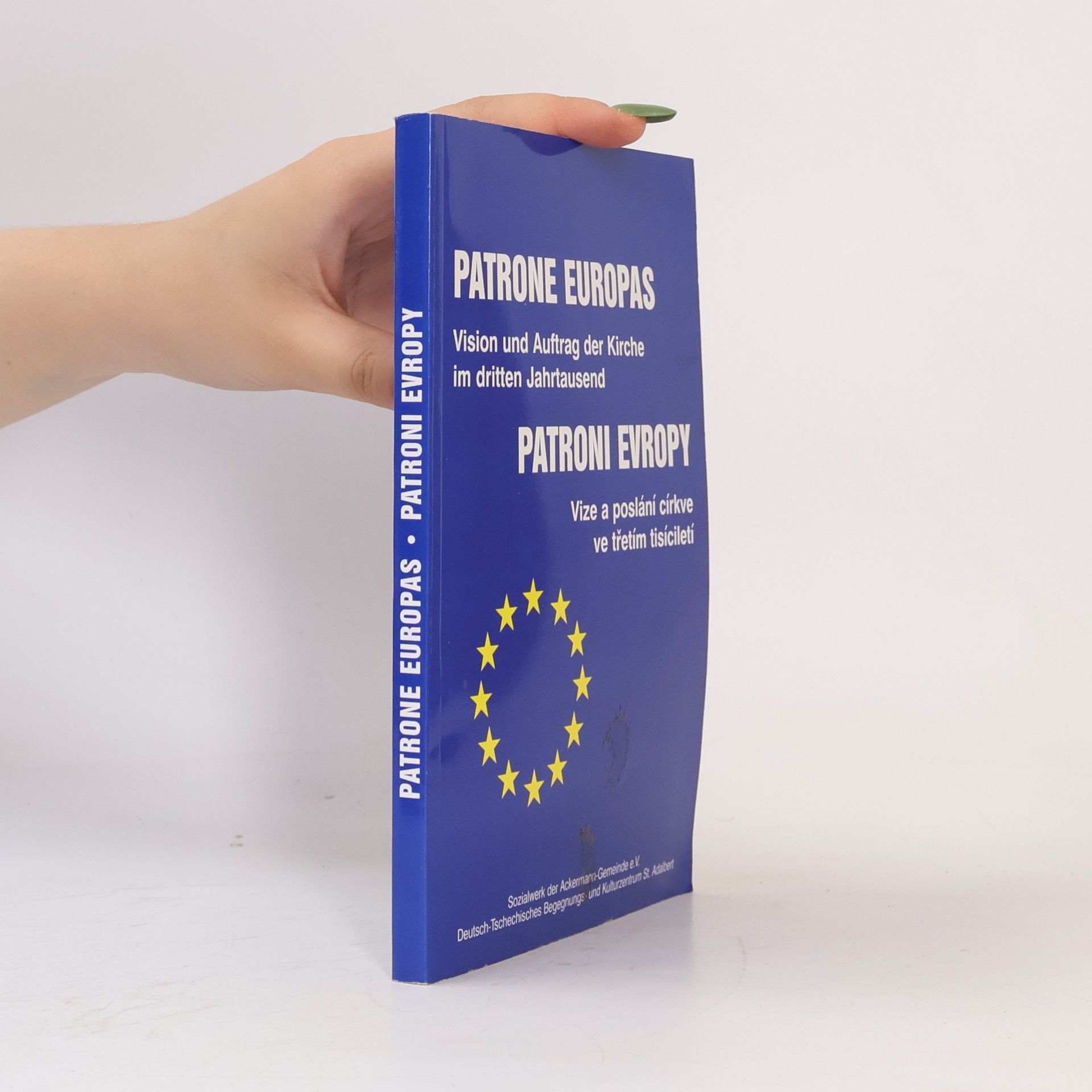 Kolektiv autorů Patrone Europas : Vision und Auftrag der Kirche im dritten Jahrtausend = Patroni Evropy : vize a poslání církve ve třetím tisíciletí