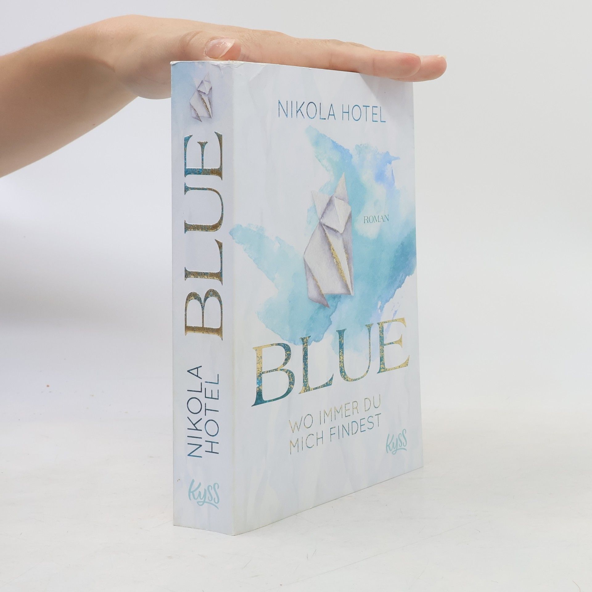 Nikola Hotel Blue. Wo immer du mich findest