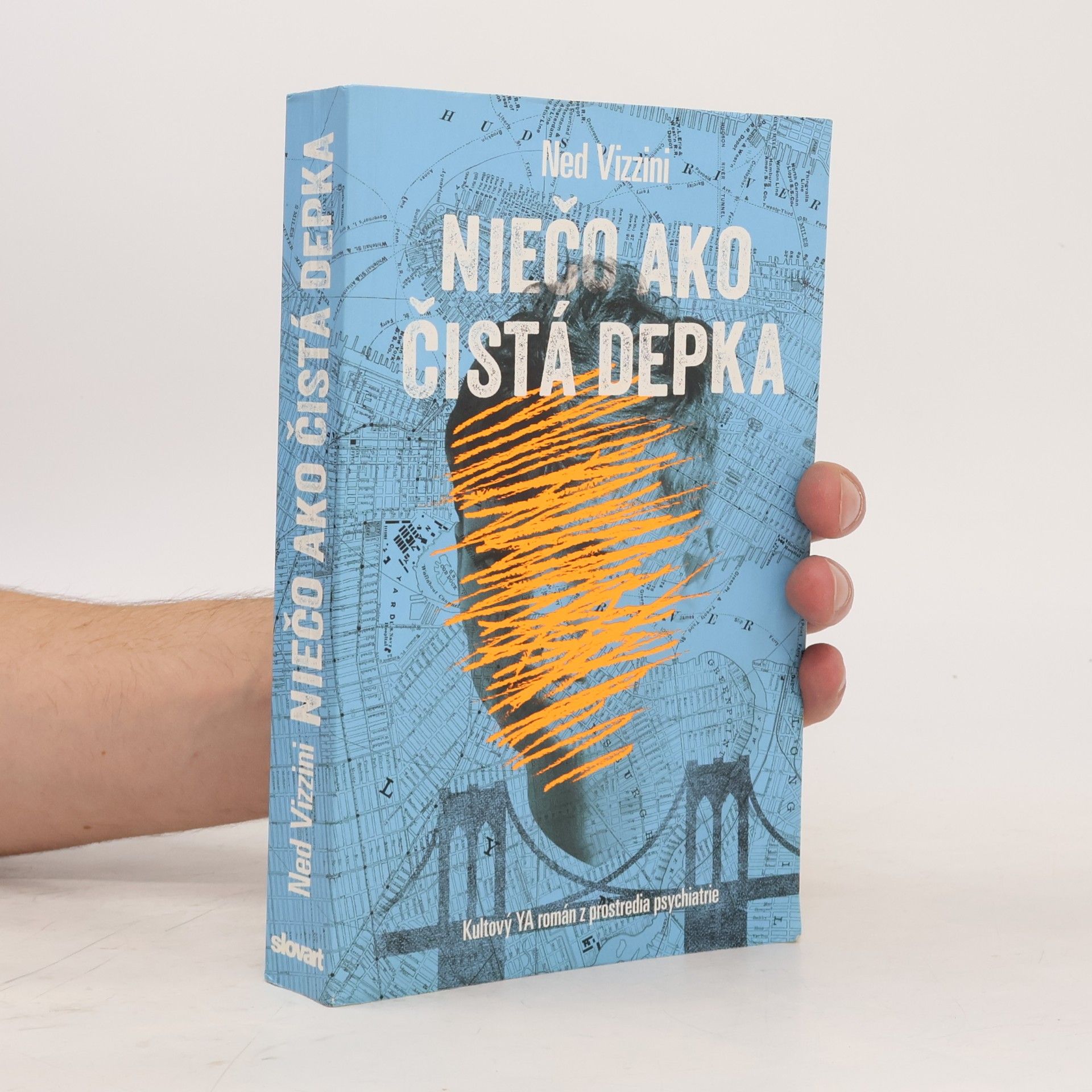 Ned Vizzini Niečo ako čistá depka