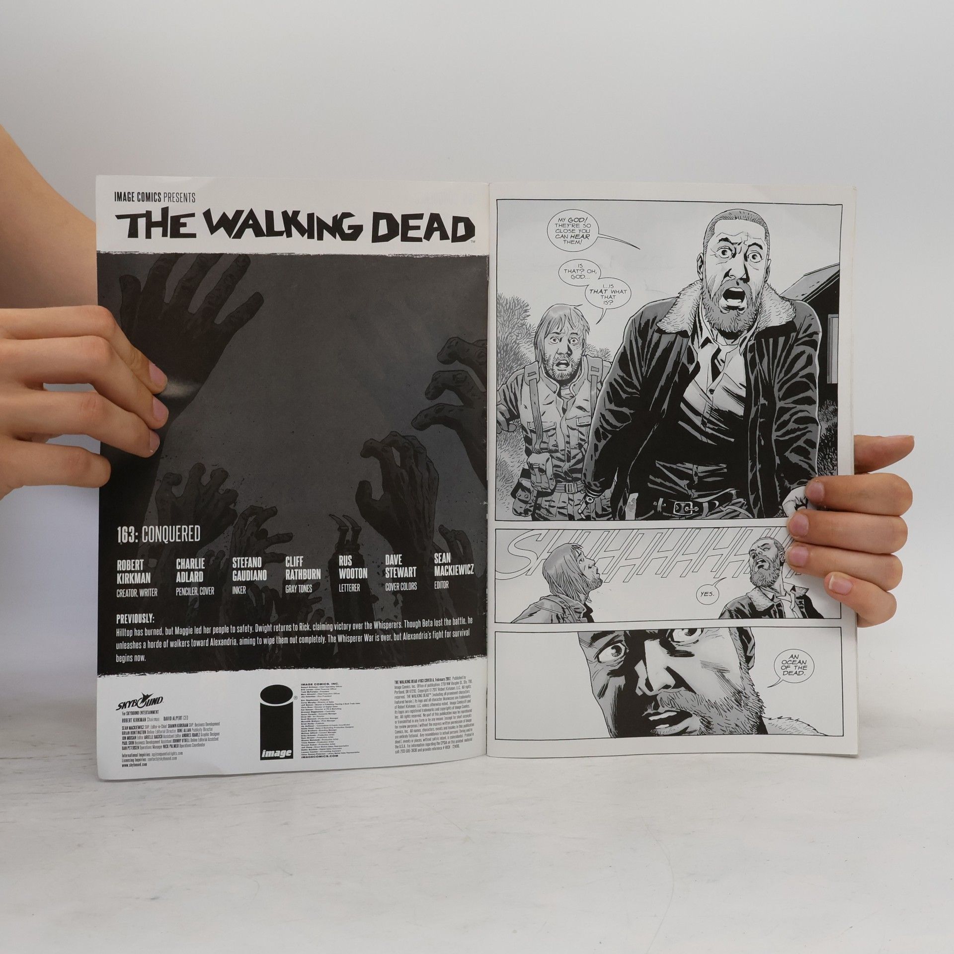 Autorenkollektiv The Walking Dead