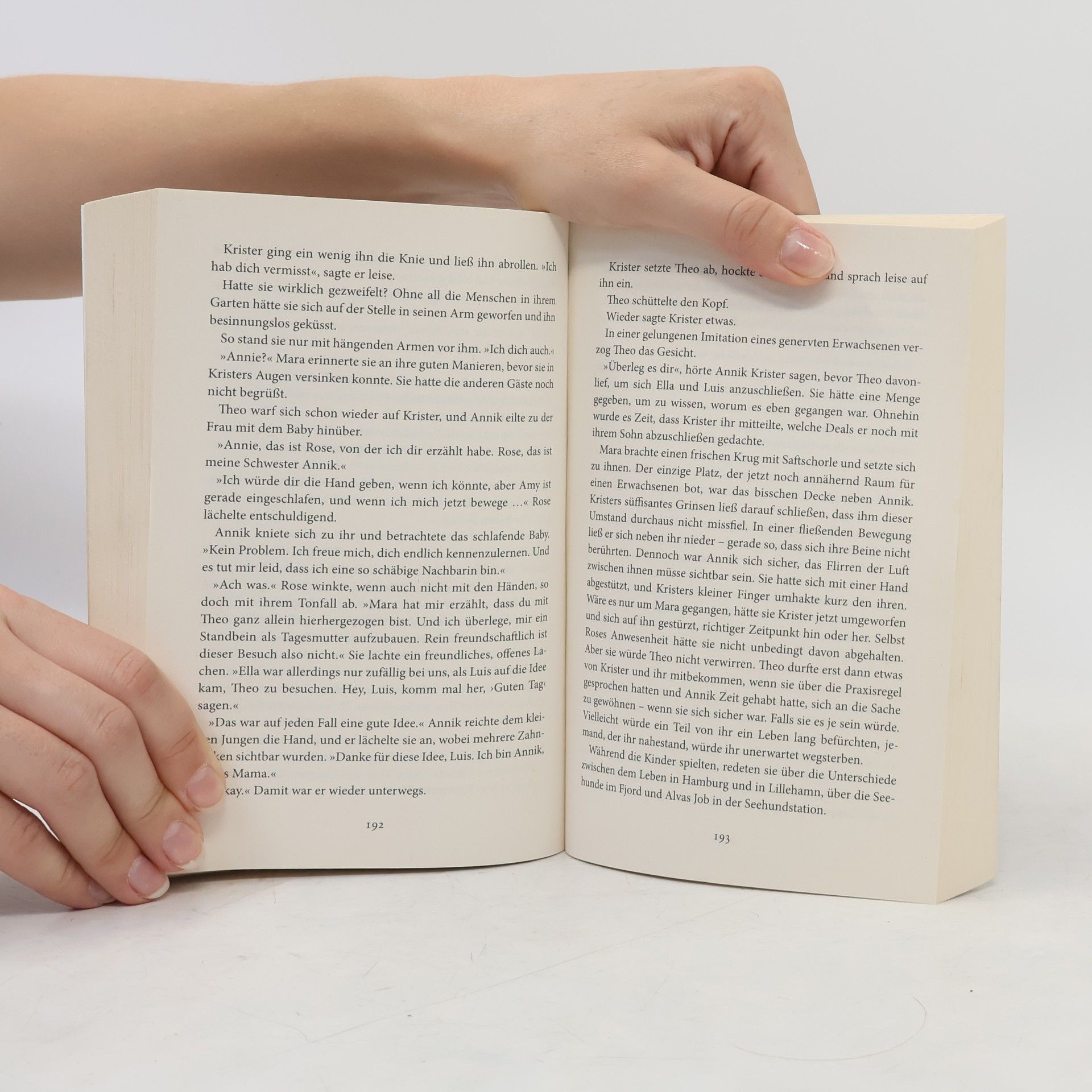 Julie Birkland Northern Love: Hoch wie der Himmel