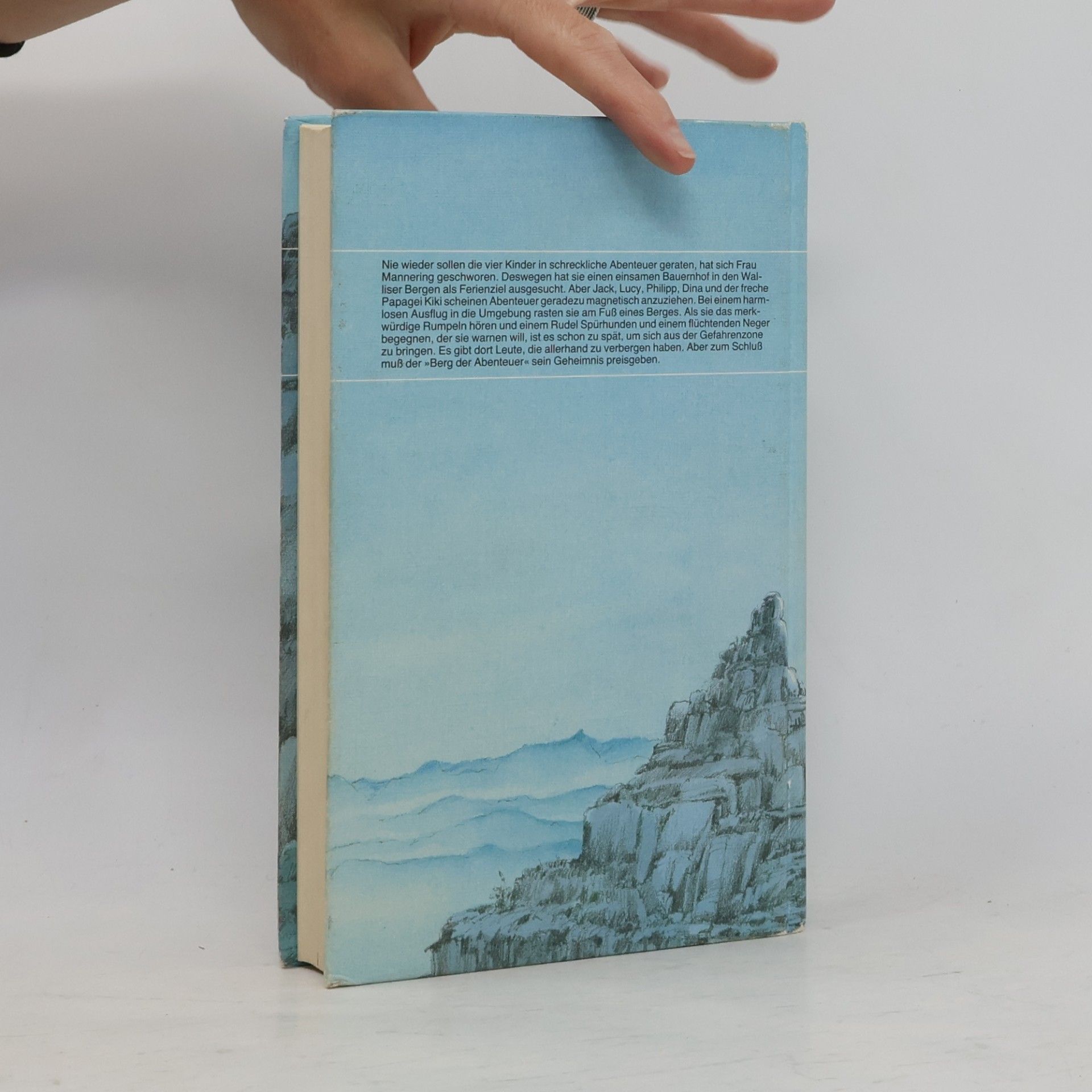 Enid Blyton Der Berg der Abenteuer