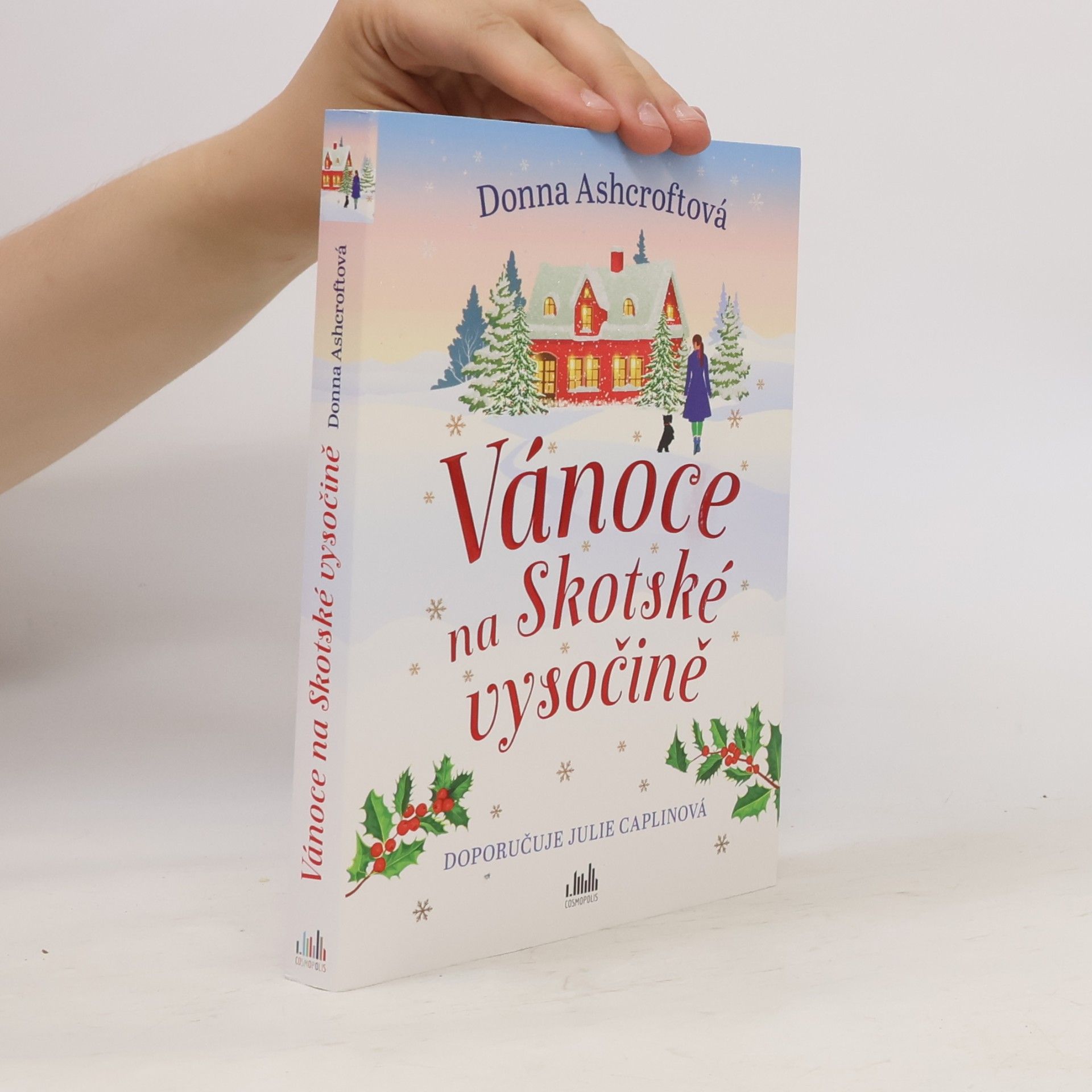 Donna Ashcroft Vánoce na Skotské vysočině
