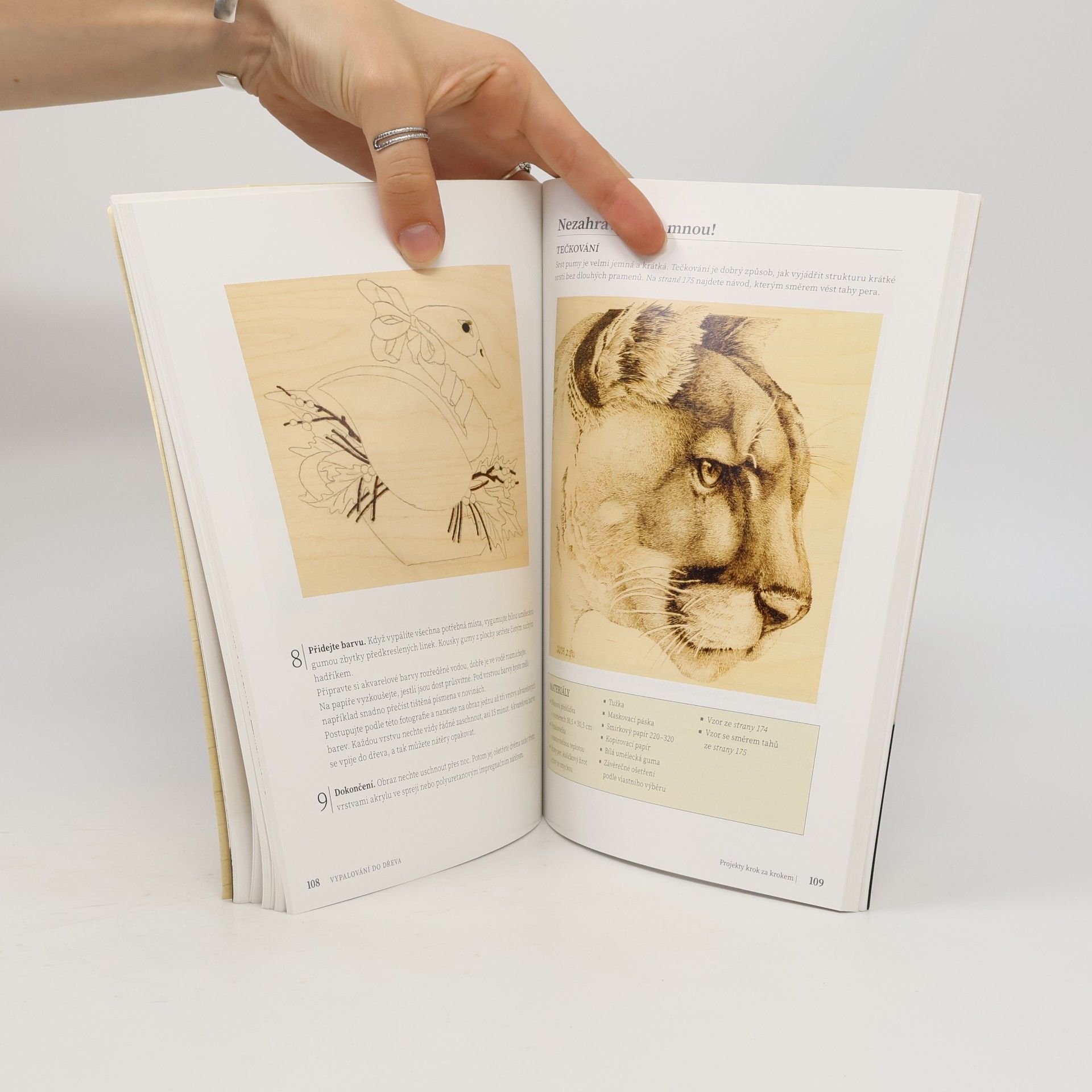 Lora S. Irish Vypalování do dřeva : pyrografie pro každého