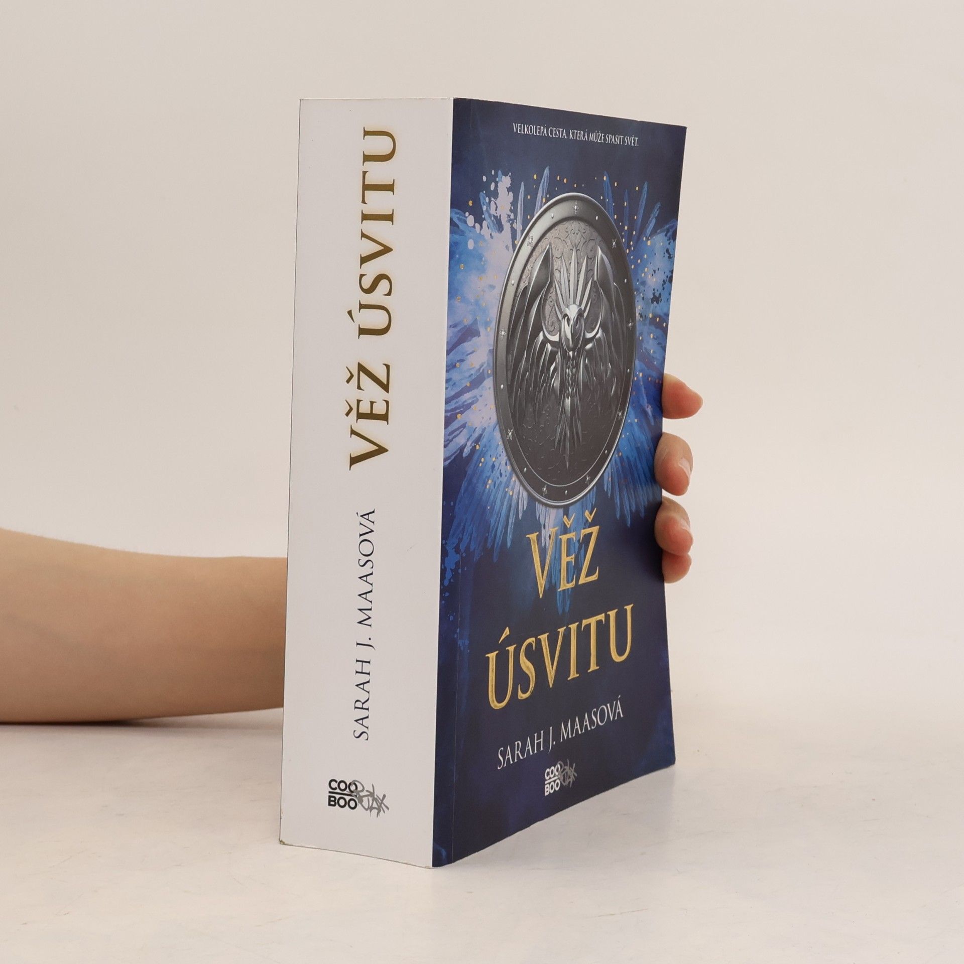 Sarah J. Maas Věž úsvitu
