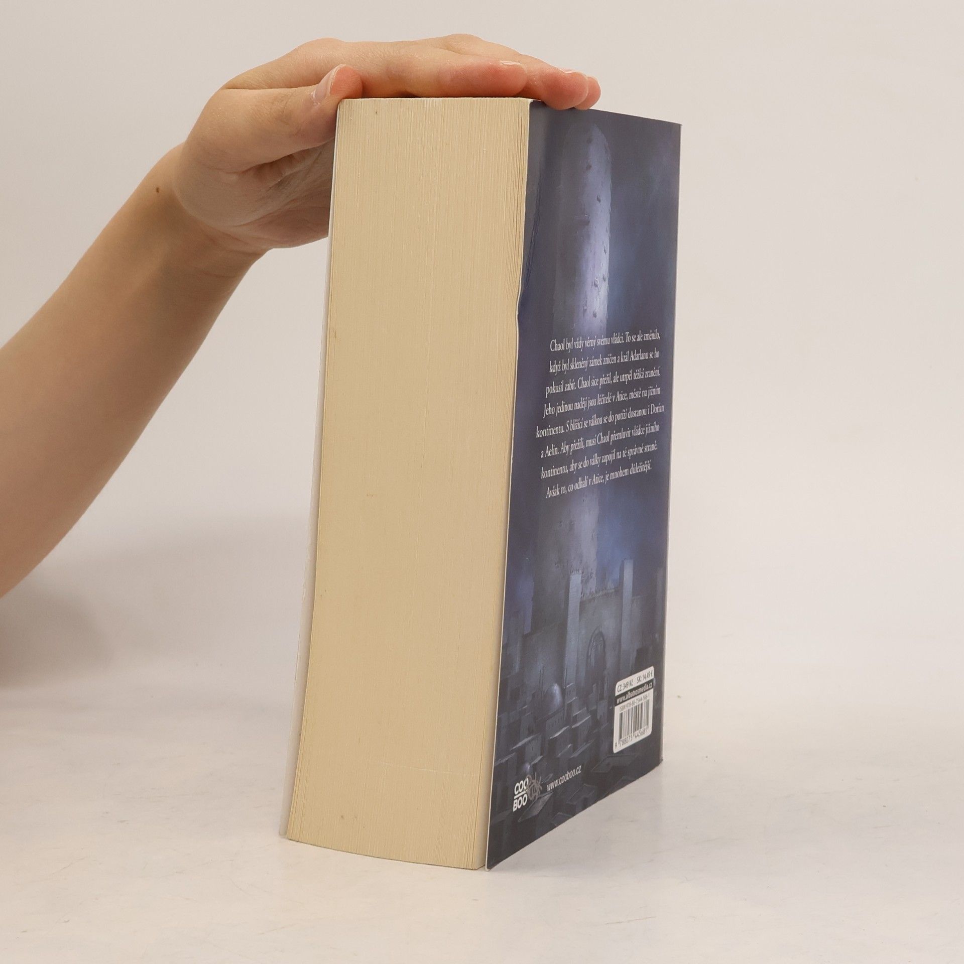 Sarah J. Maas Věž úsvitu