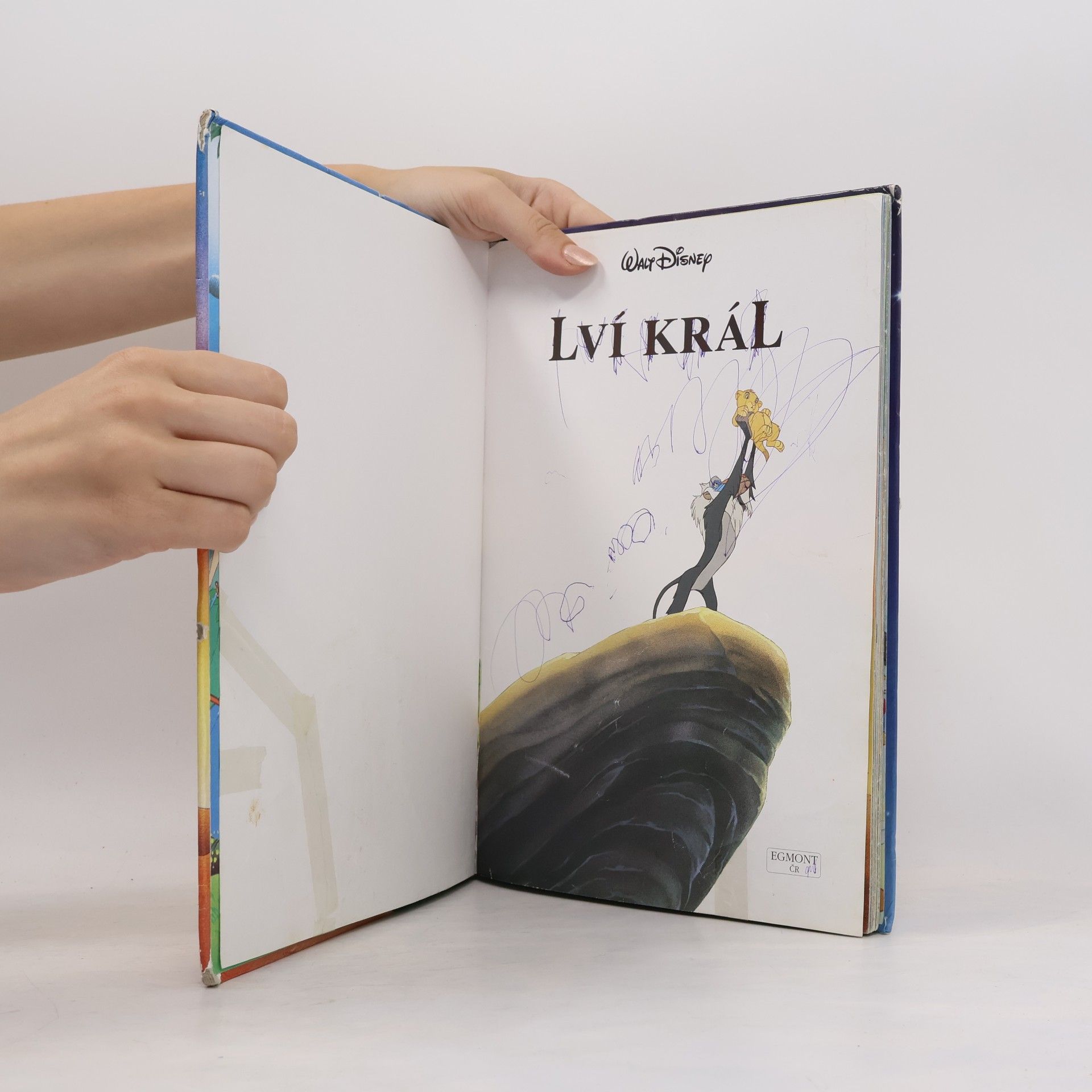 Alena Peisertová Lví král