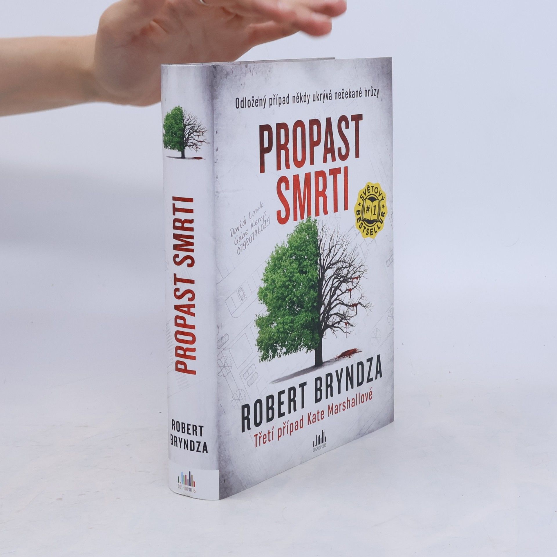 Robert Bryndza Propast smrti