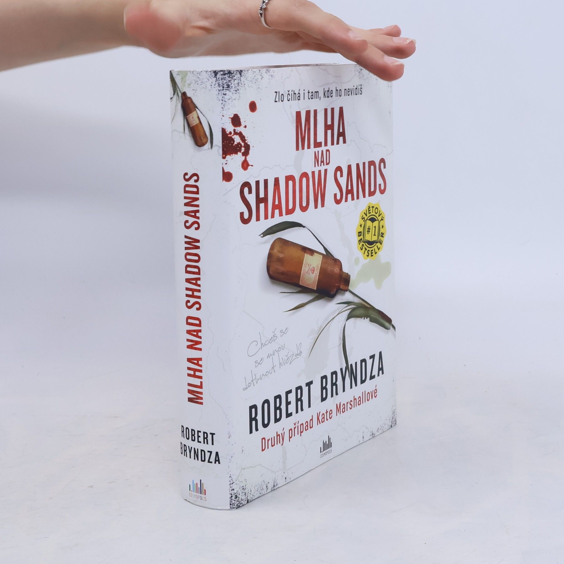 Robert Bryndza Mlha nad Shadow Sands