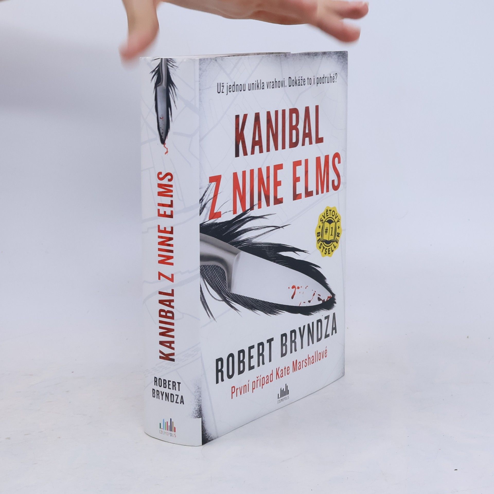 Robert Bryndza Kanibal z Nine Elms