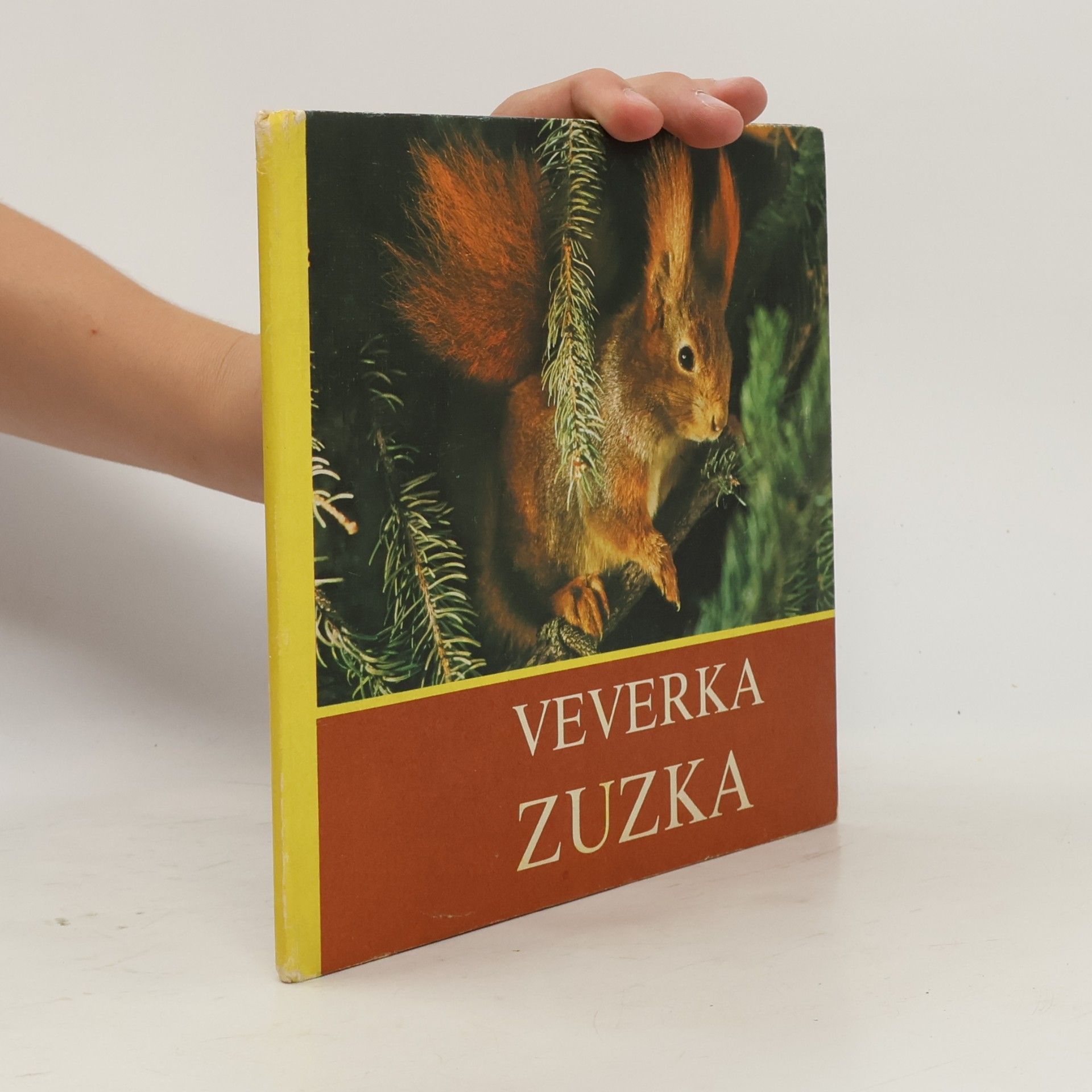 Petr Havelka Veverka Zuzka