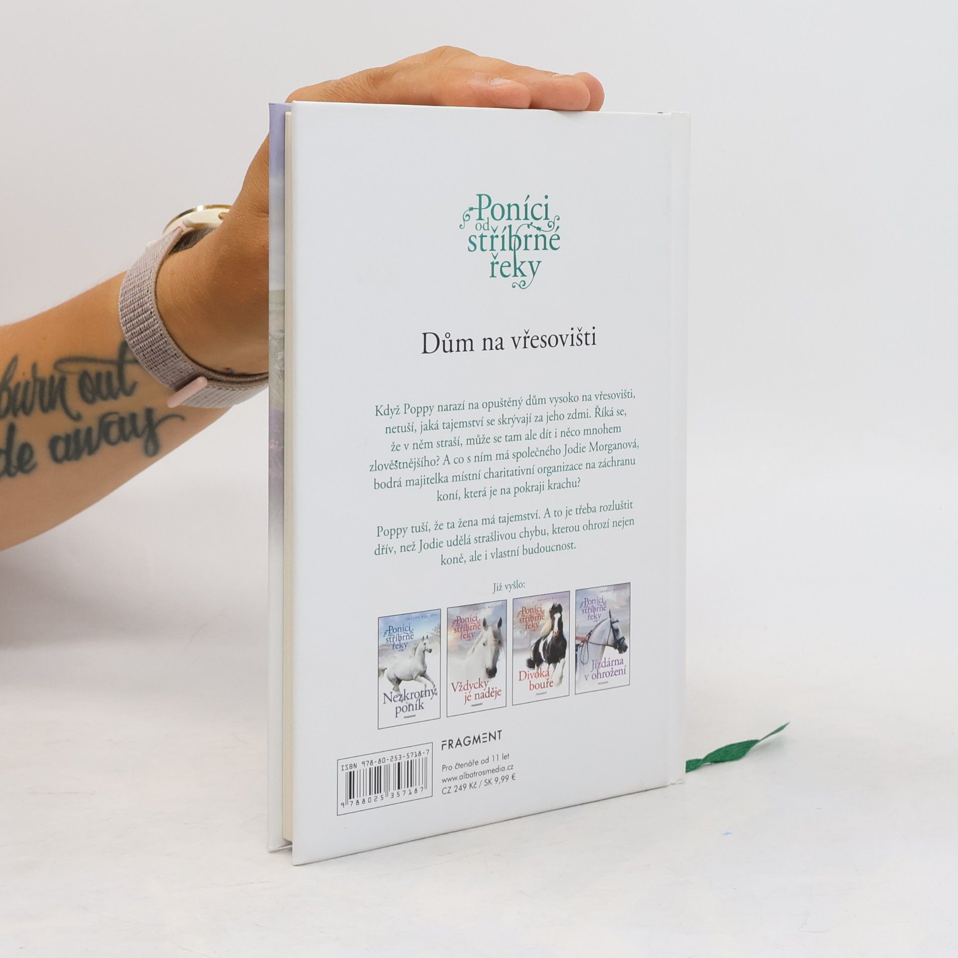 Amanda Wills Poníci od stříbrné řeky. Dům na vřesovišti