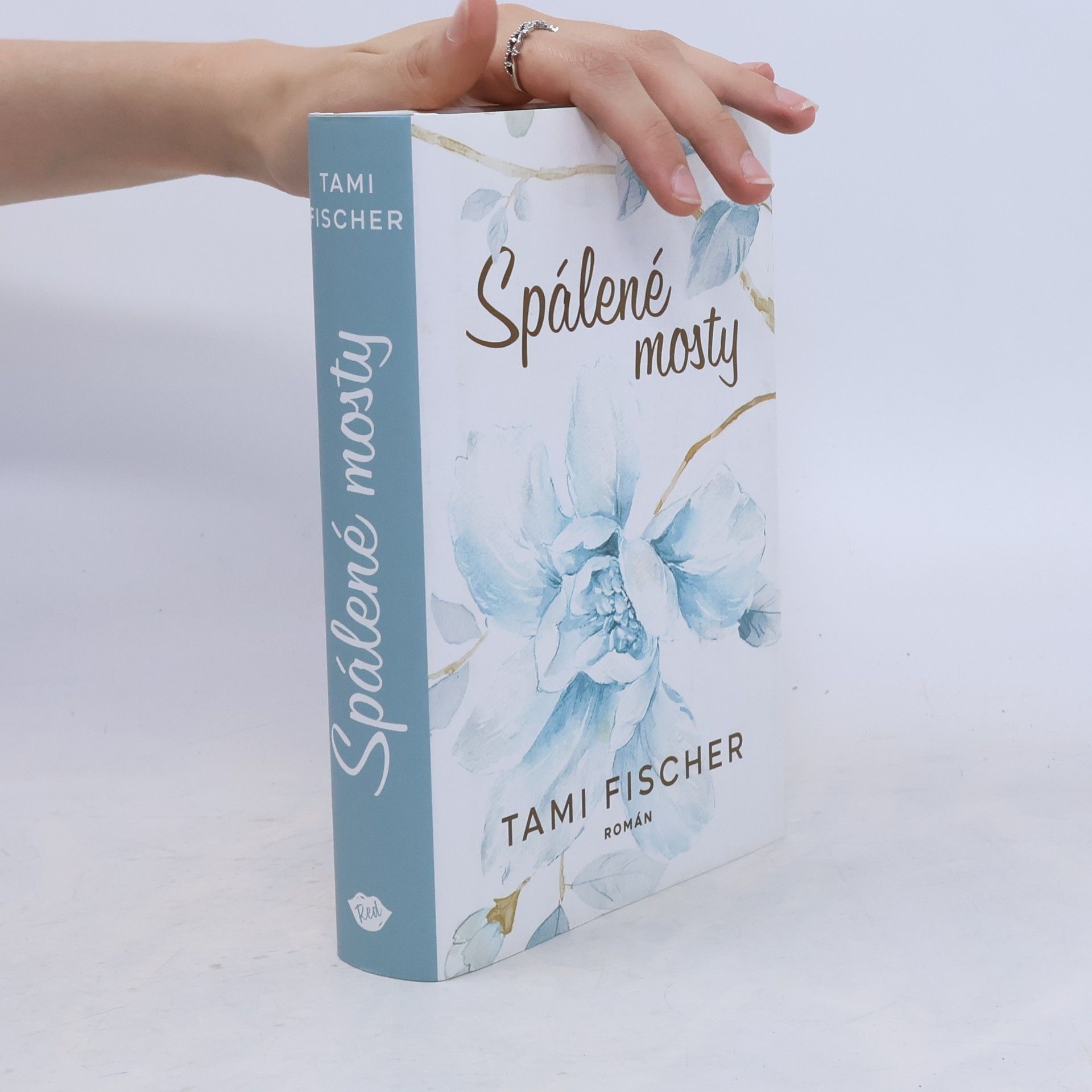 Tami Fischer Spálené mosty