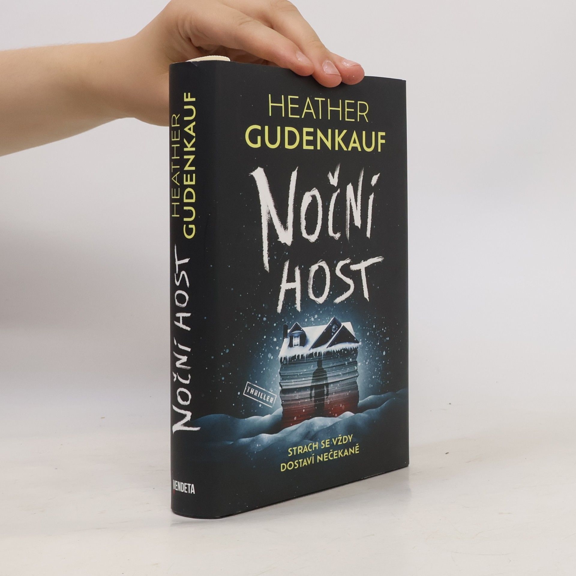 Heather Gudenkauf Noční host
